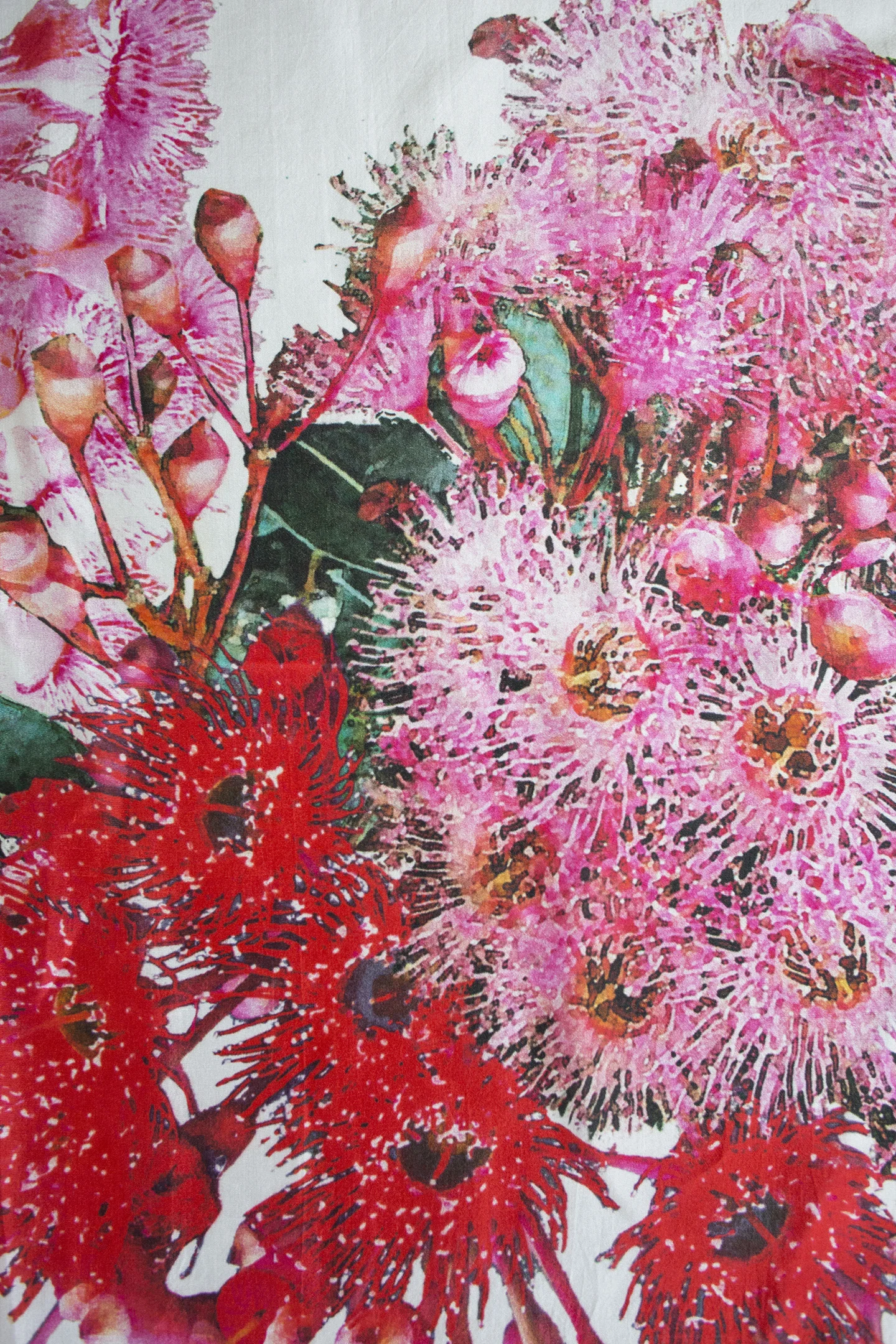 Gum Blossoms by Pip Wilkinson