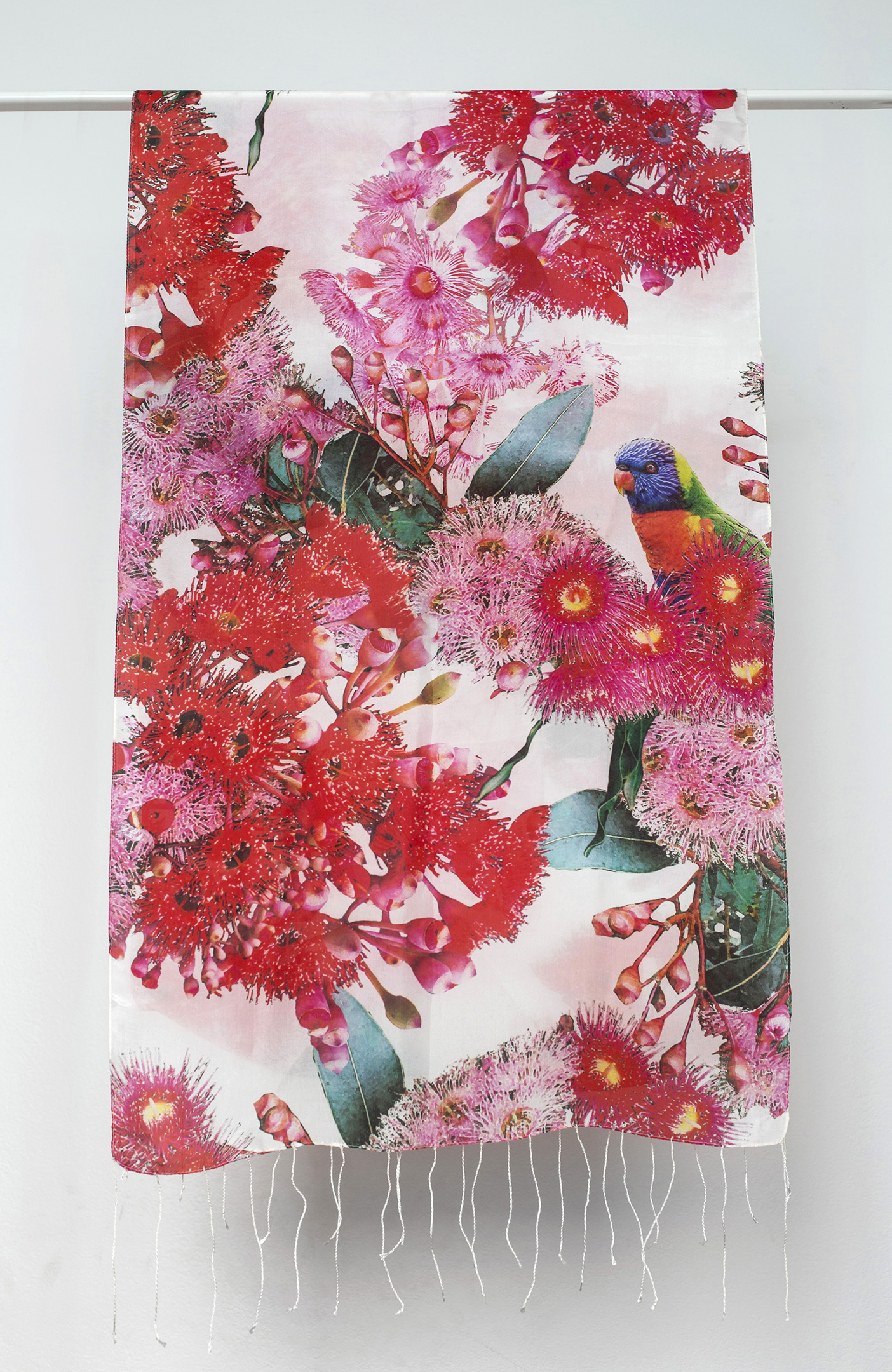 Gum Blossoms and a Cheeky Parrot