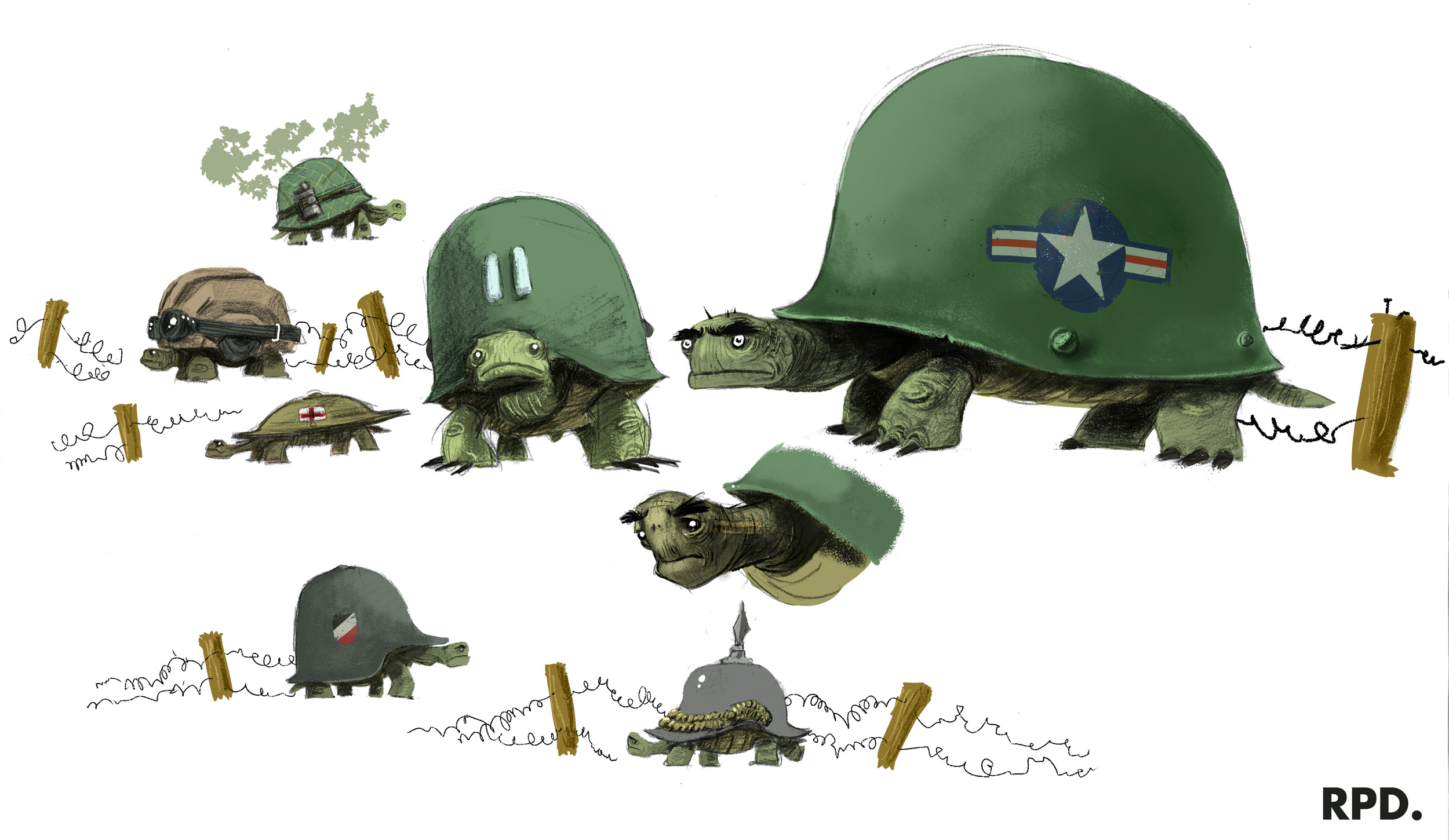 turtles.jpg
