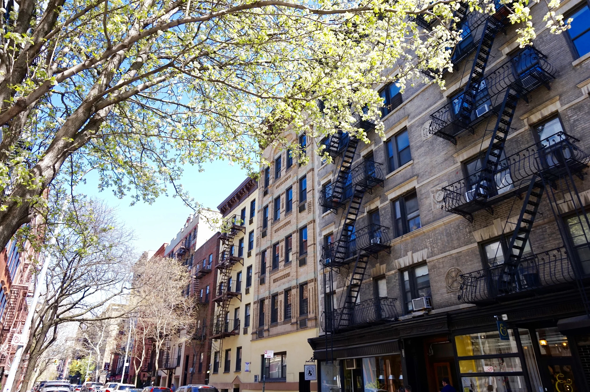 SoHo