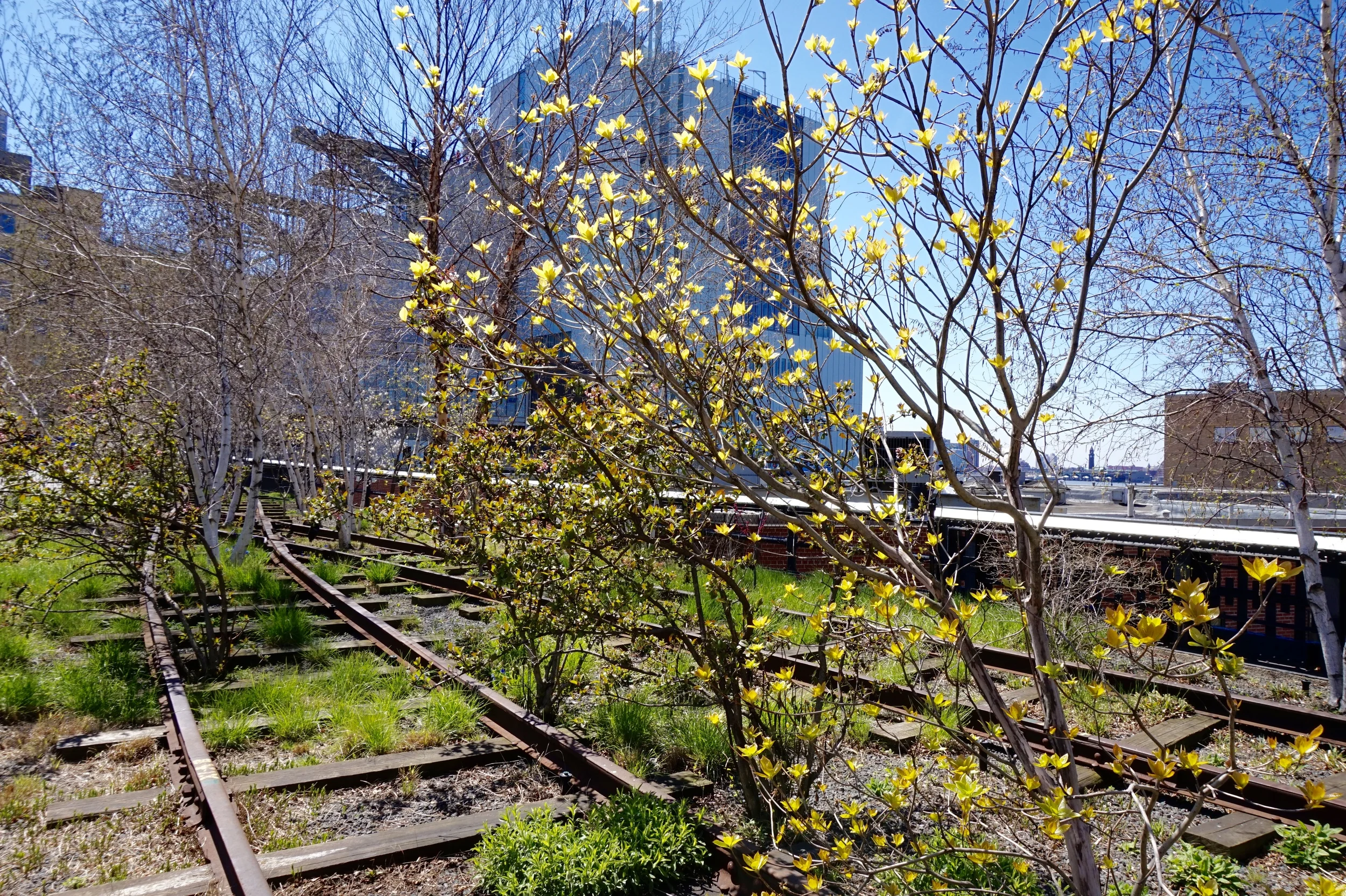 The High Line