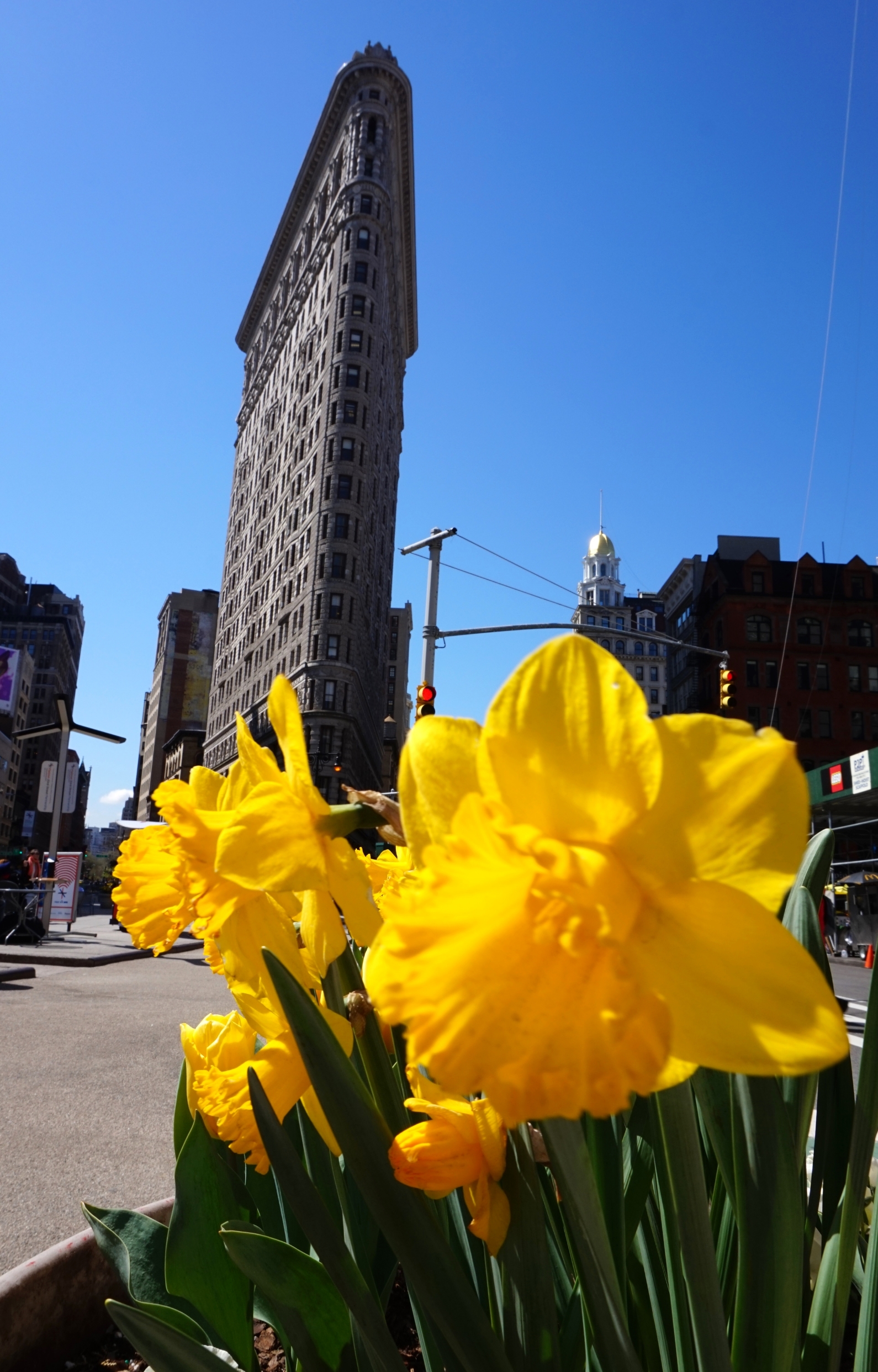 Flat Iron Building
