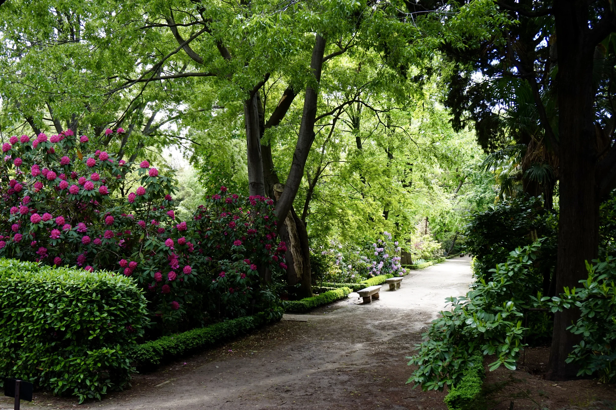 Royal Botanical Gargen