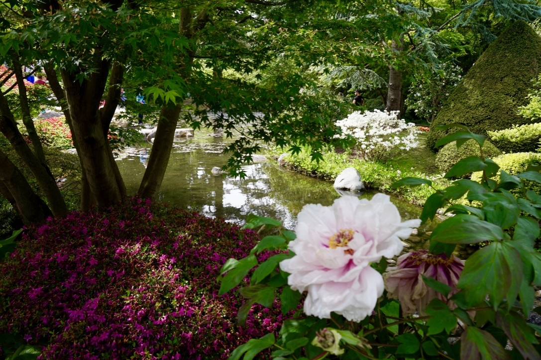 Albert Kahn Gardens