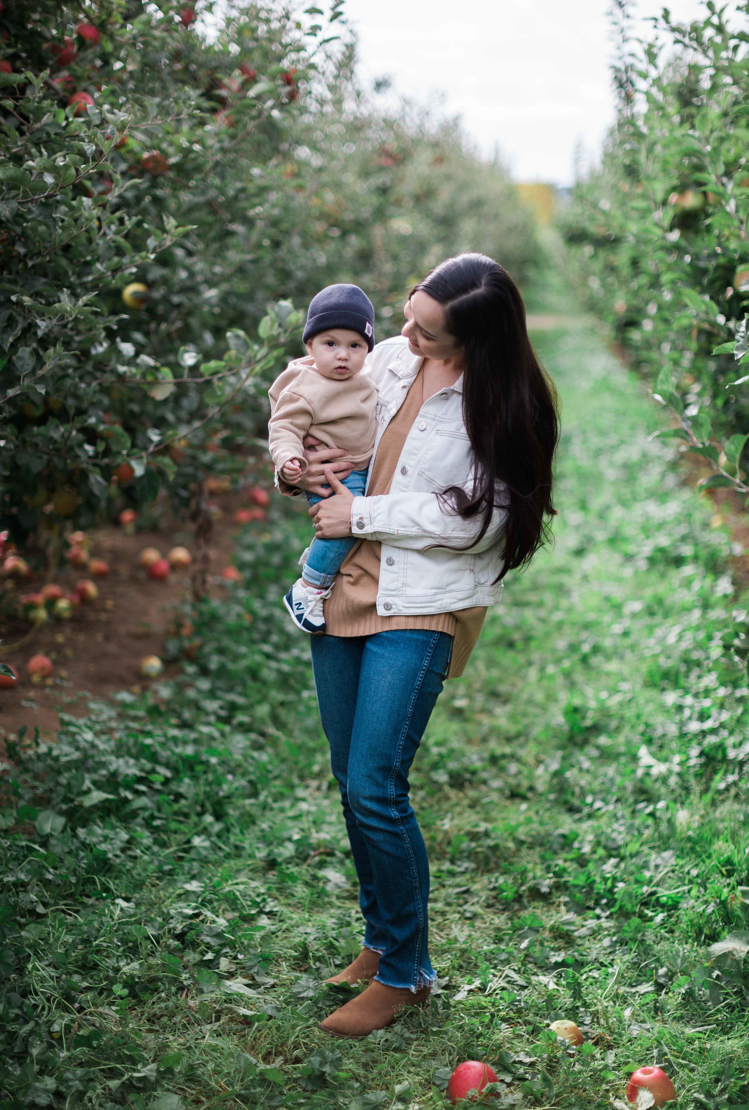 AppleOrchard_2018-19.jpg
