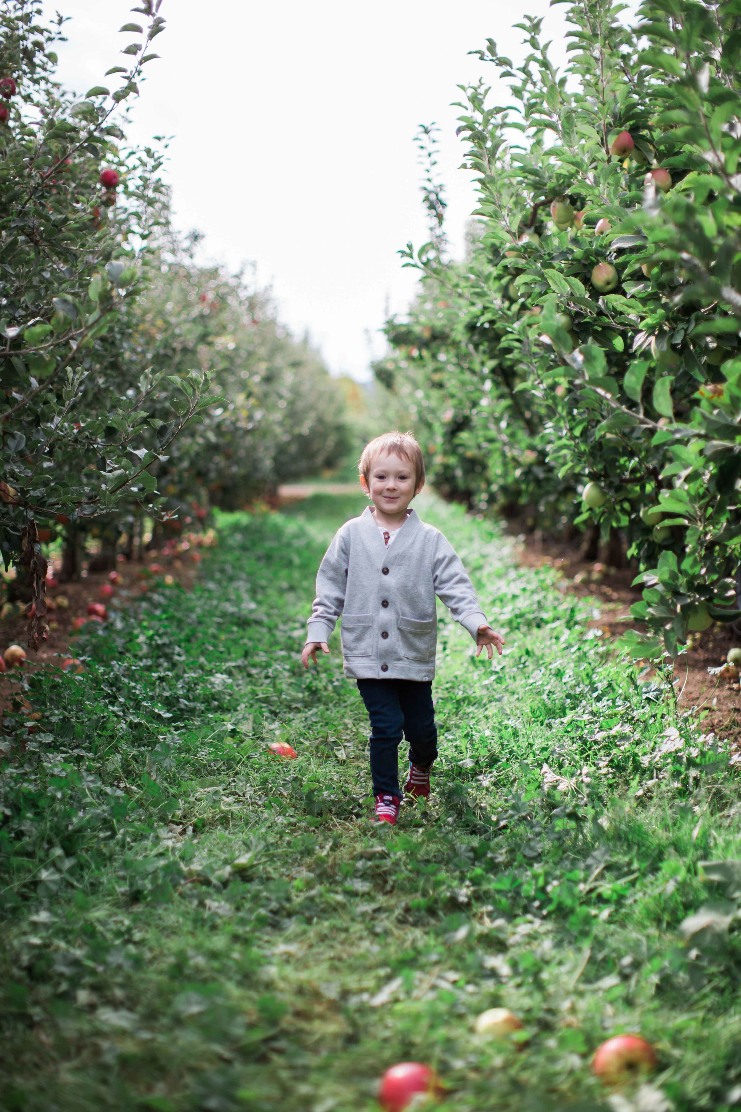 AppleOrchard_2018-21.jpg