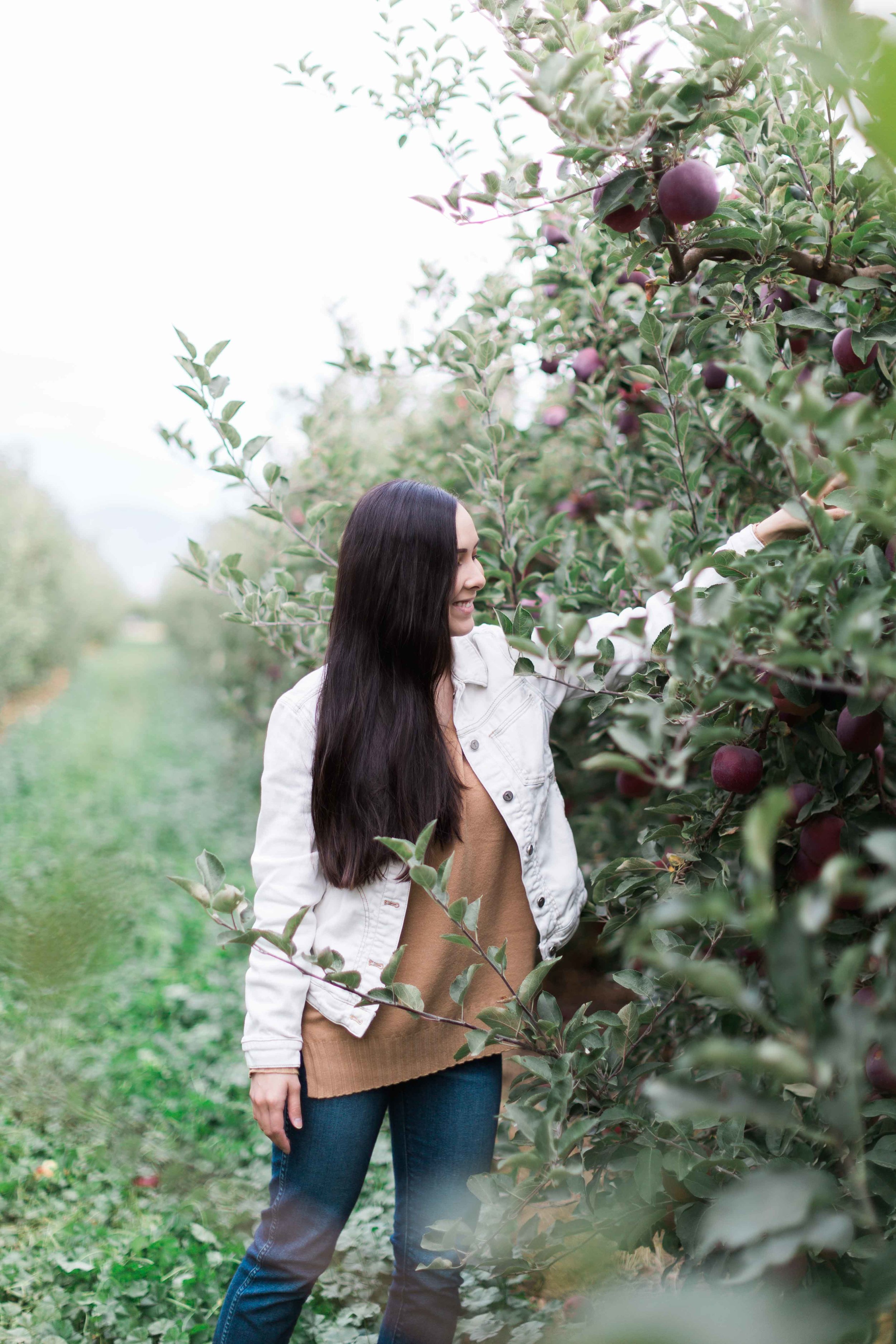 AppleOrchard_2018-27.jpg