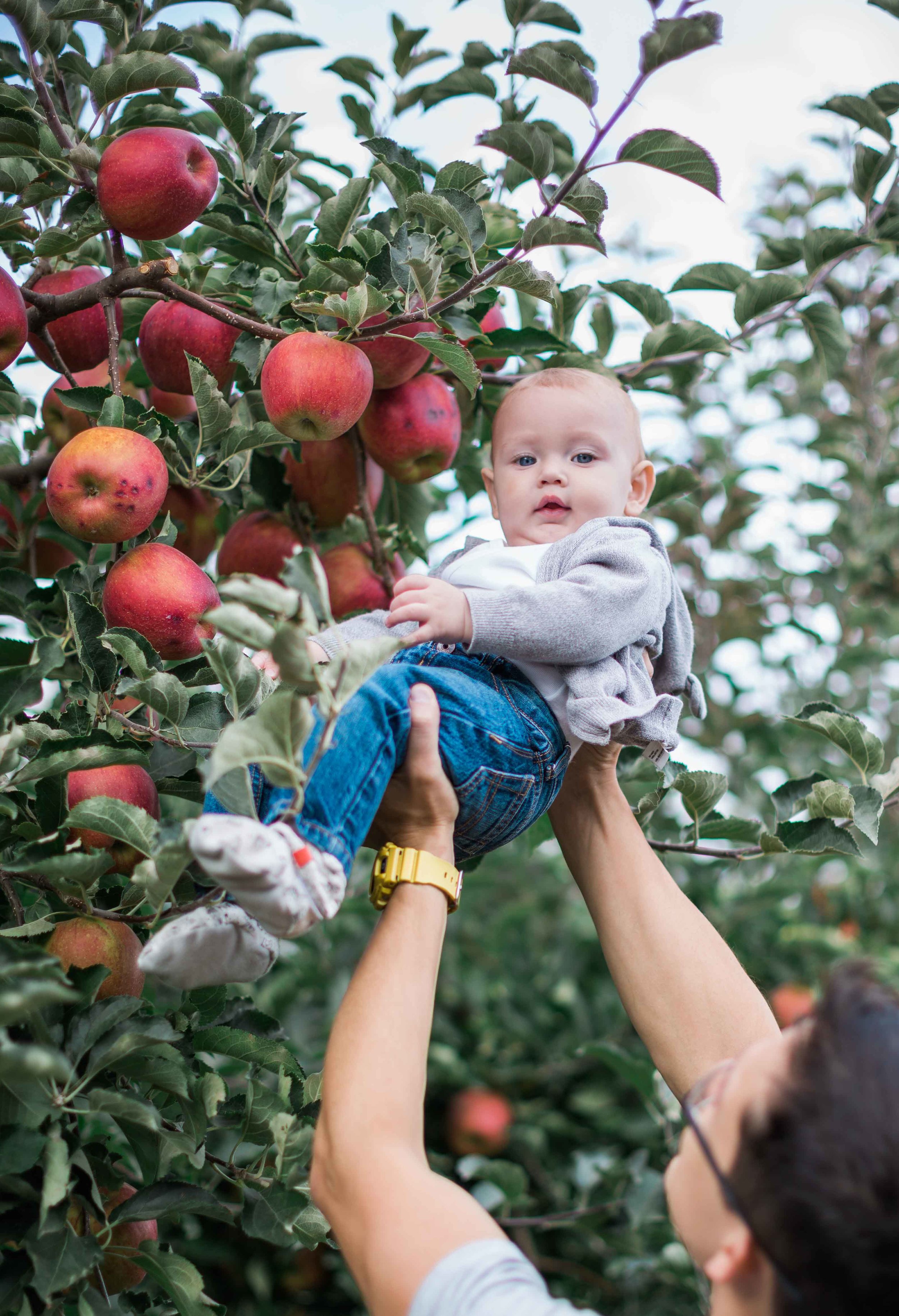 AppleOrchard_2018-36.jpg
