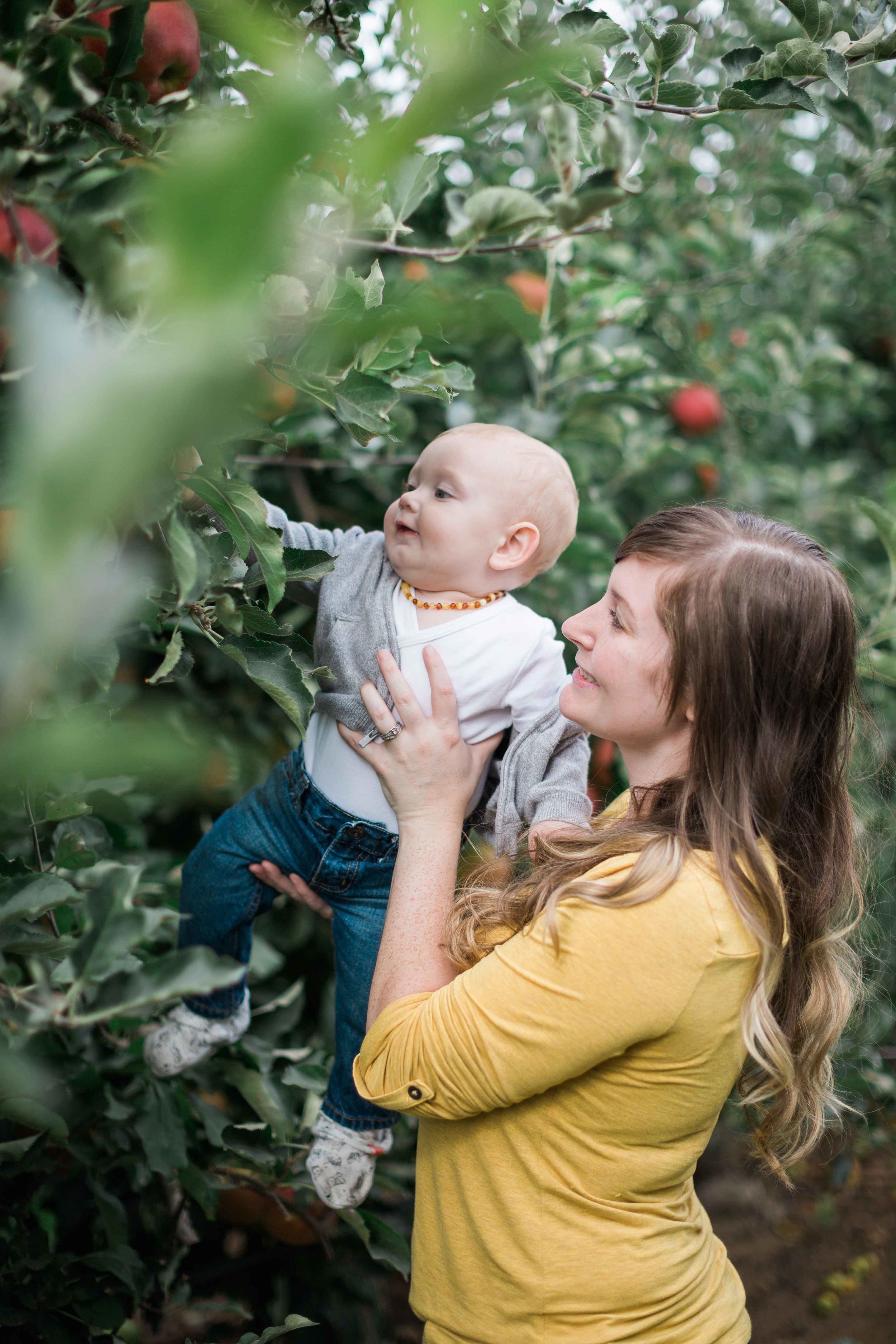 AppleOrchard_2018-37.jpg