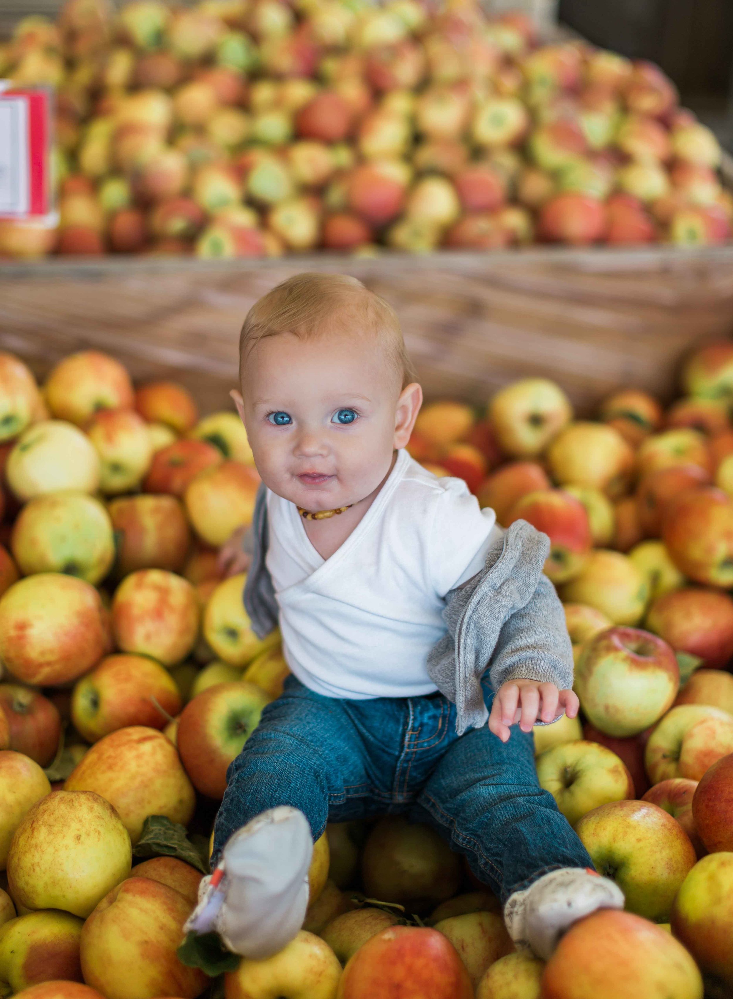 AppleOrchard_2018-49.jpg