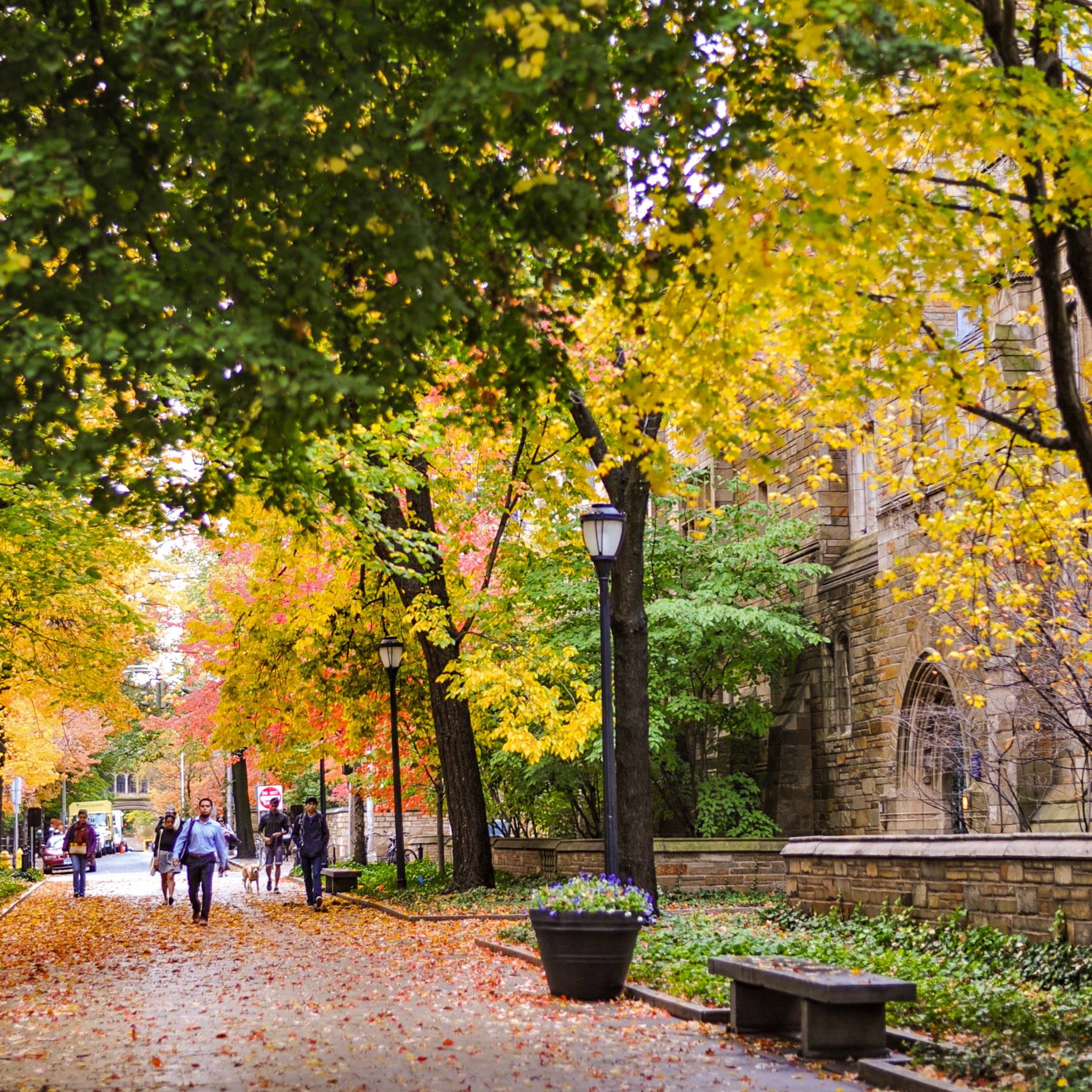 A Guide to the Best Hotels and Restaurants near Yale University