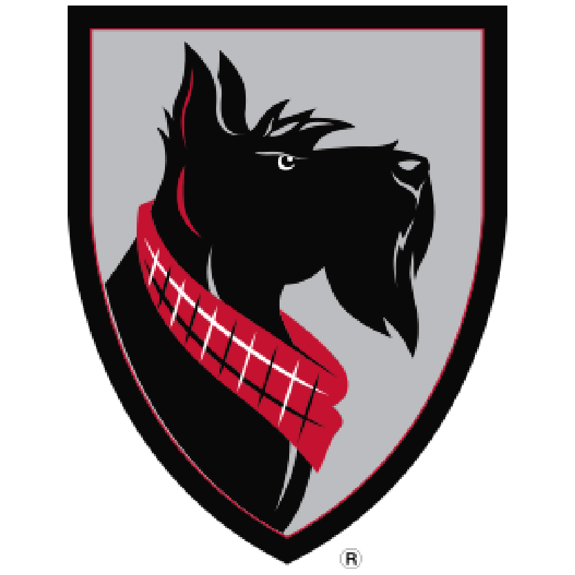 Carnegie Mellon University