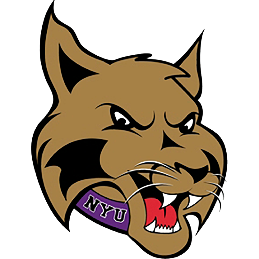 New York University