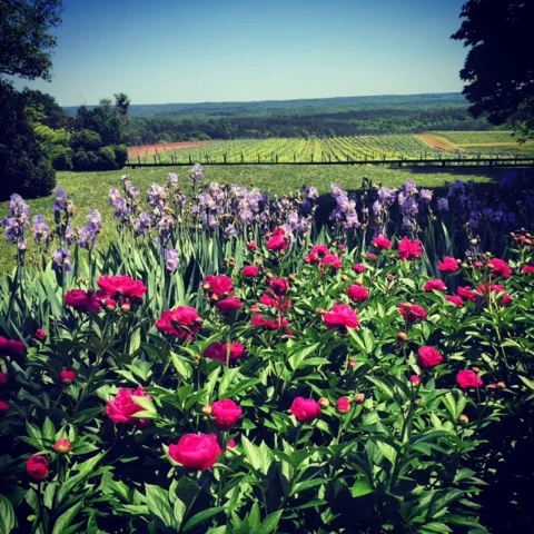 Parents Weekend  - Eat, Drink and Be Merry!