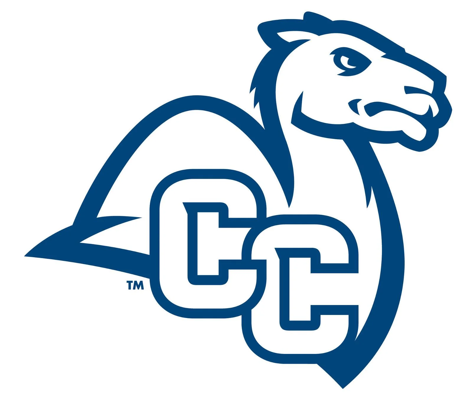 CC_Camel_BLU-1-.jpg