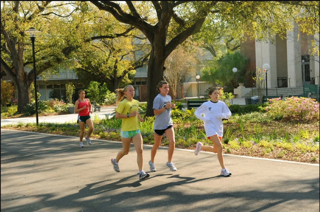 Tulane1.jpg