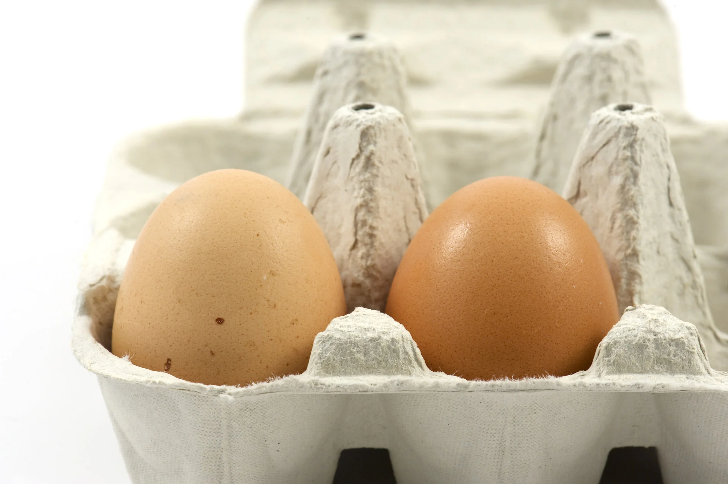 Claim for costs upheld where primary causes of action failed at trial