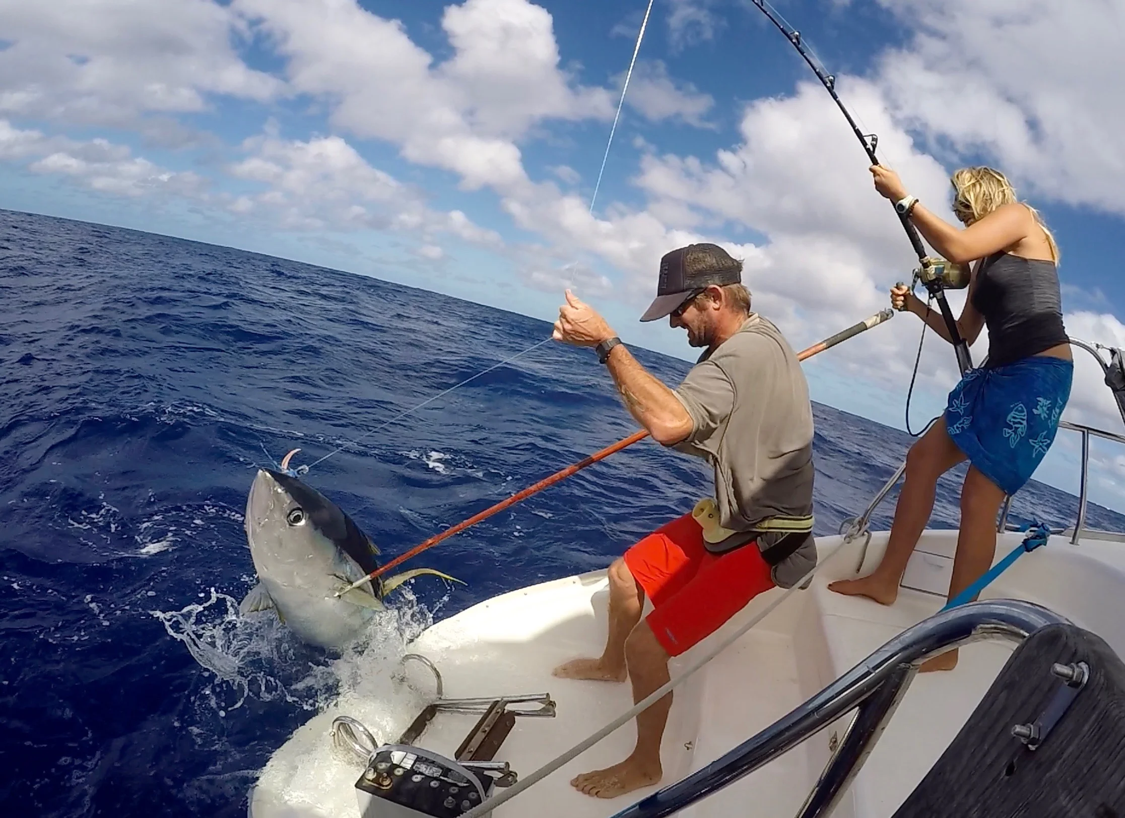 Ahi Fever.jpg