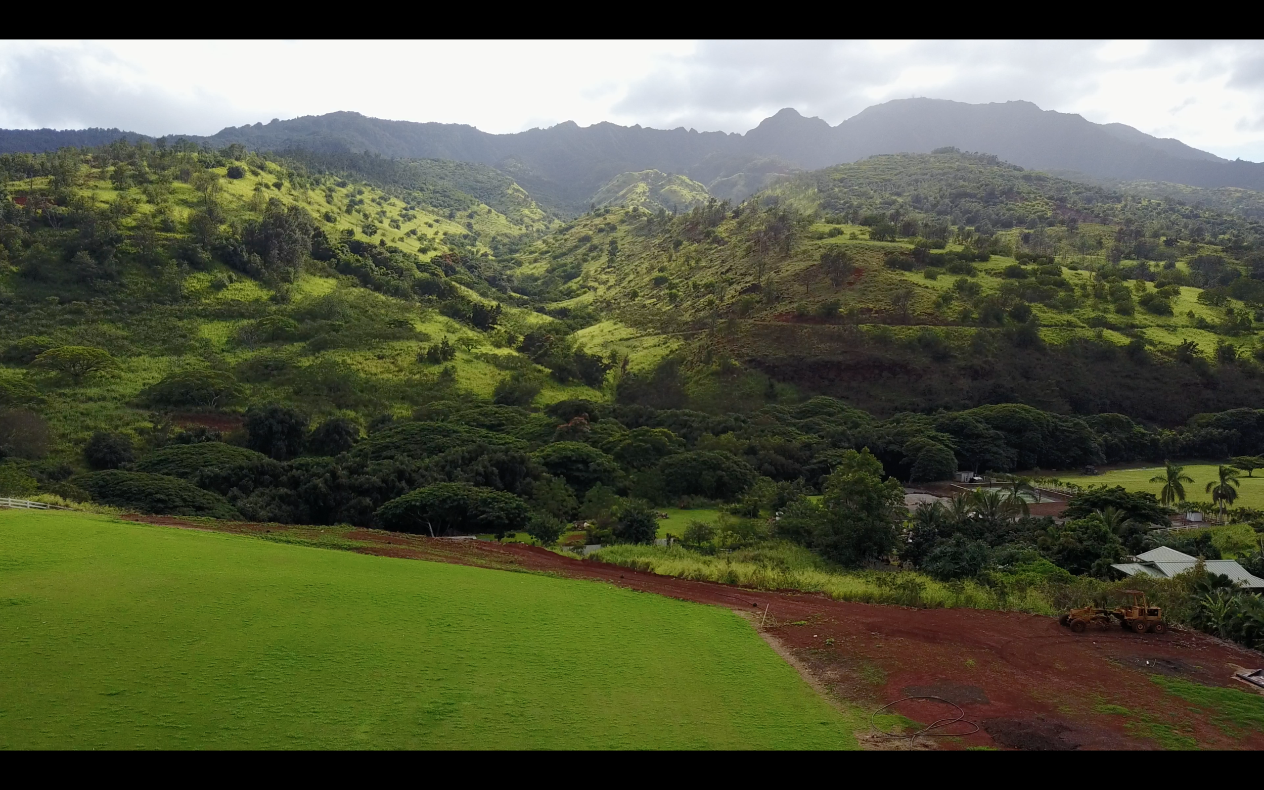 The wedding site