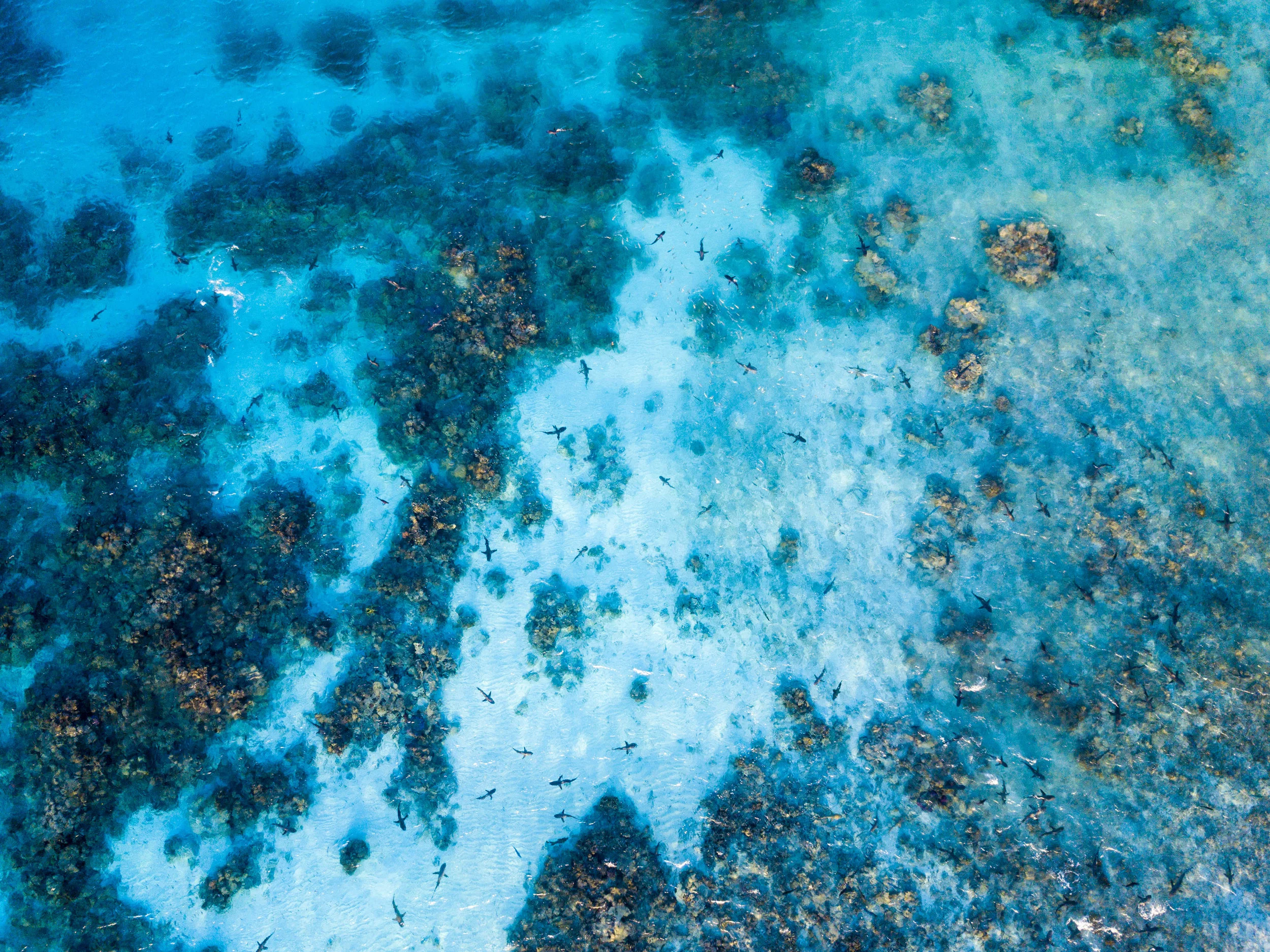 DJI_0058.jpg
