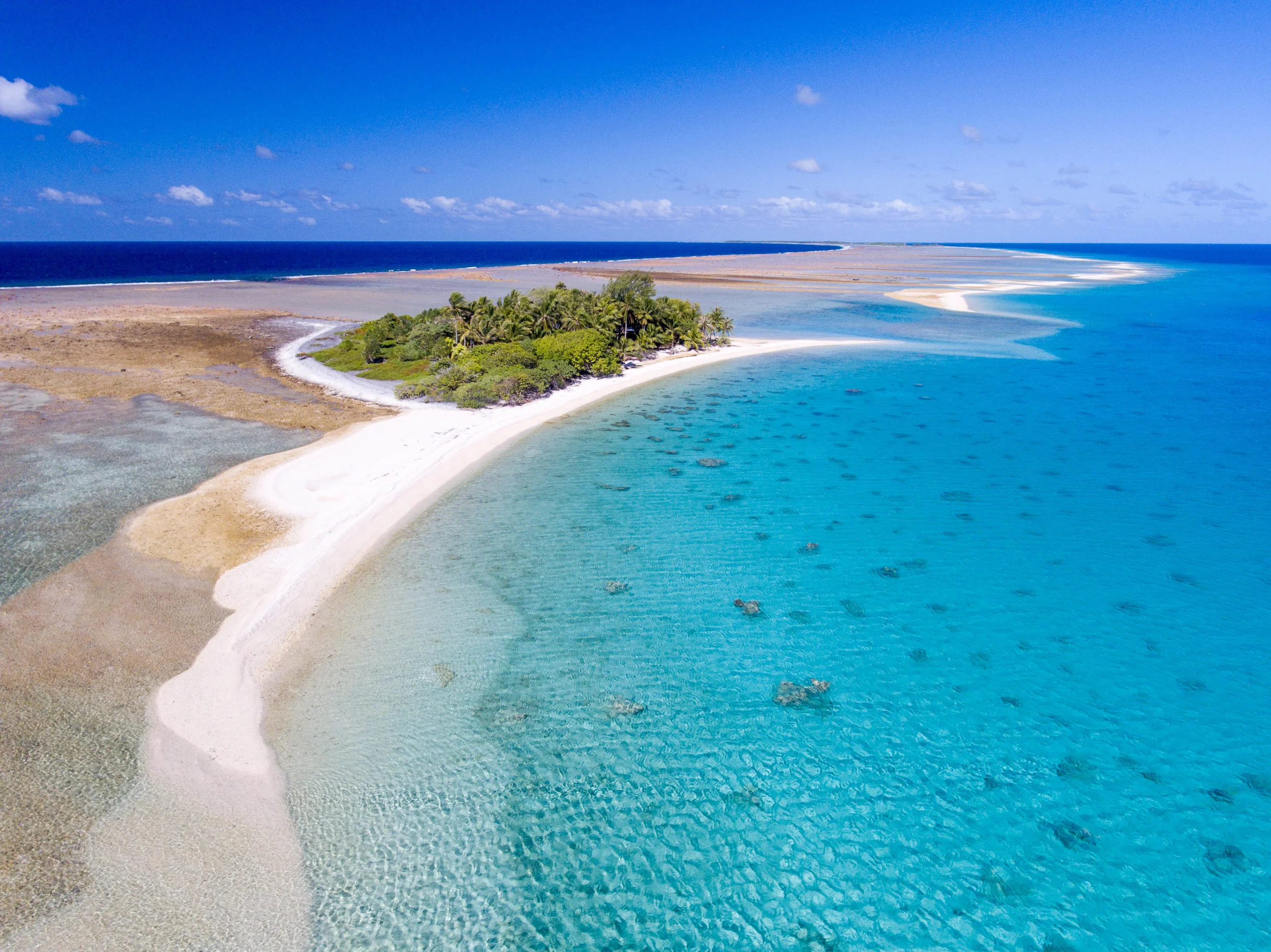 DJI_0115.jpg