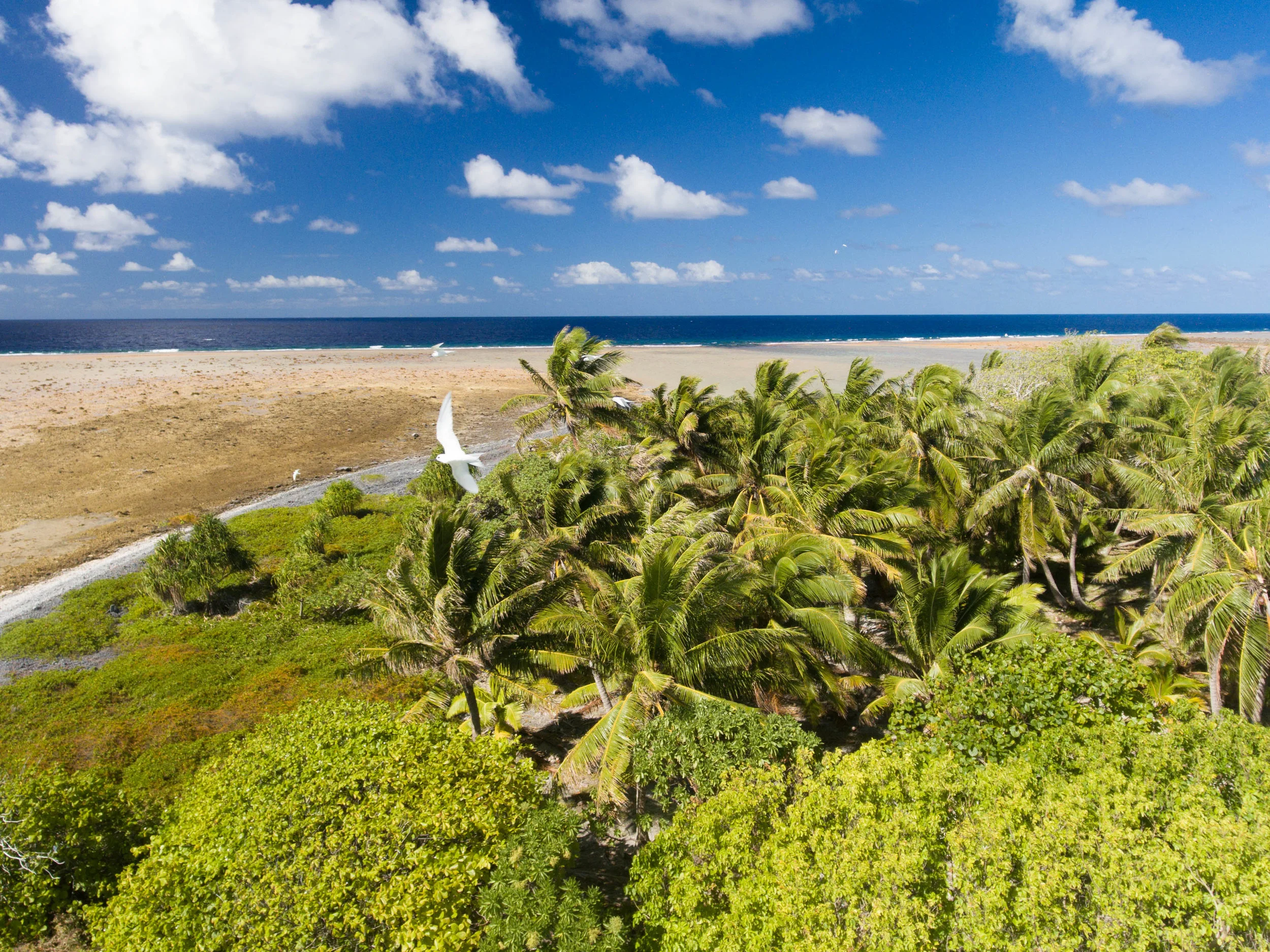 DJI_0149.jpg