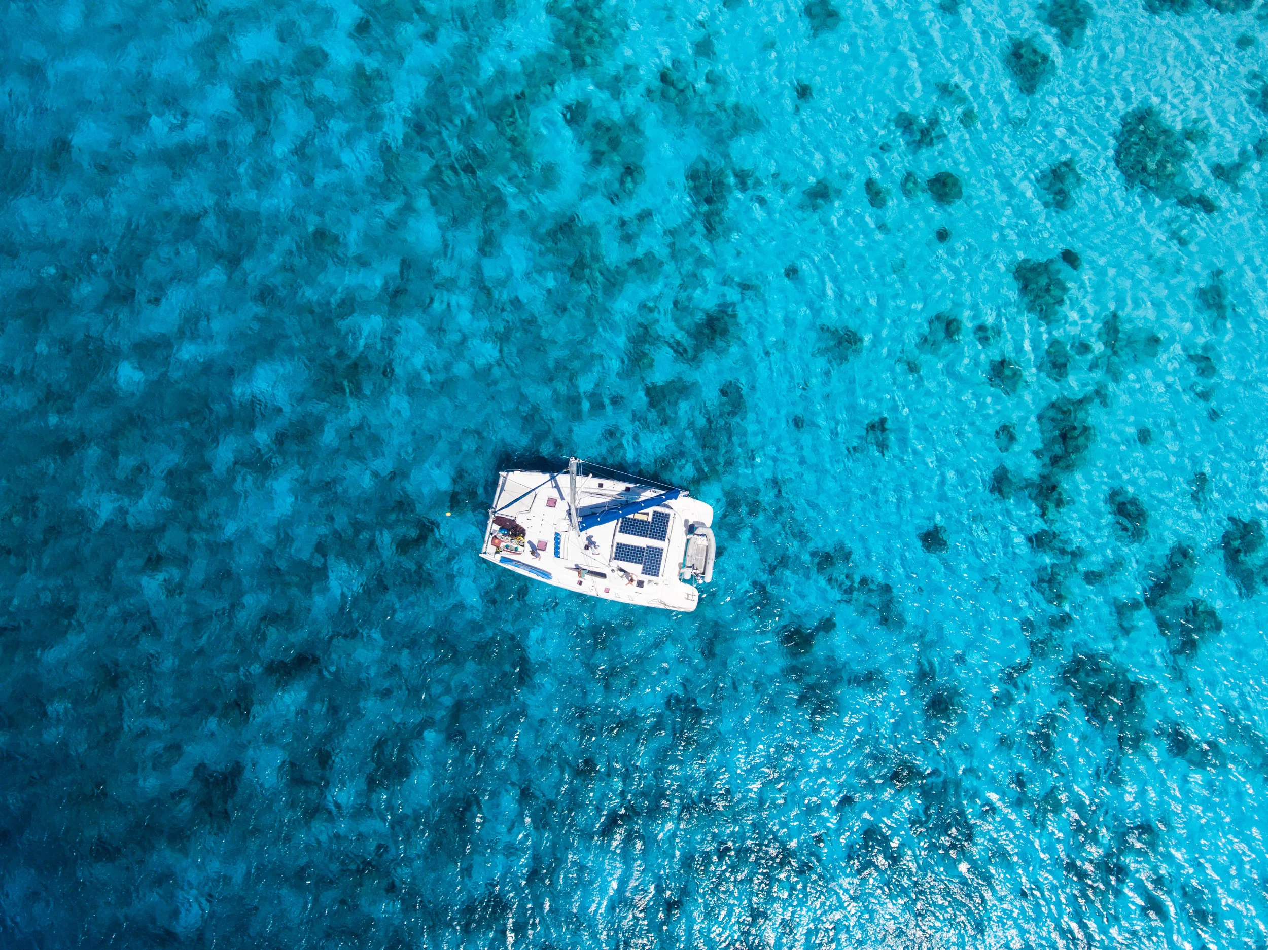 DJI_0175.jpg