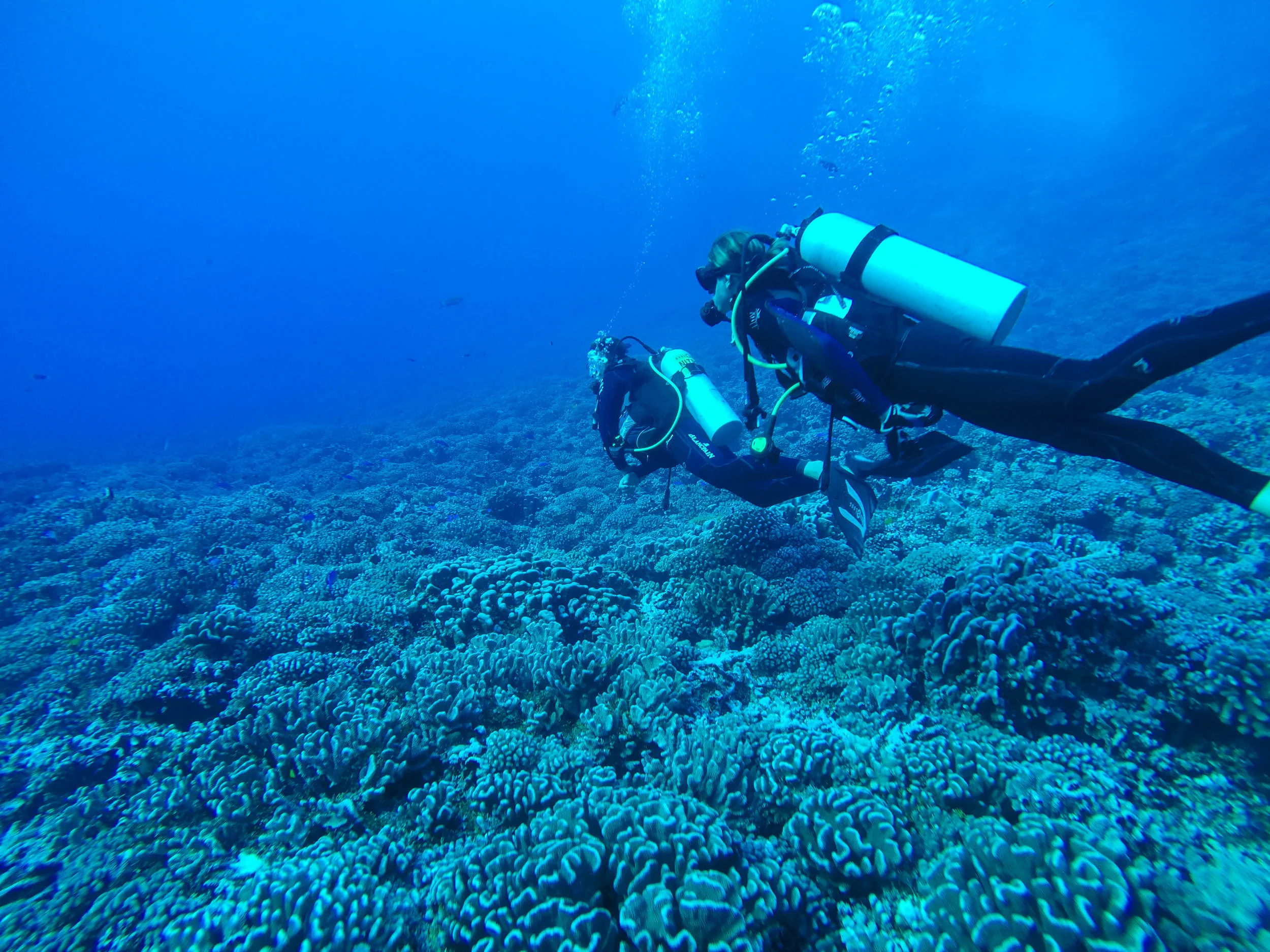 G0065095.jpg