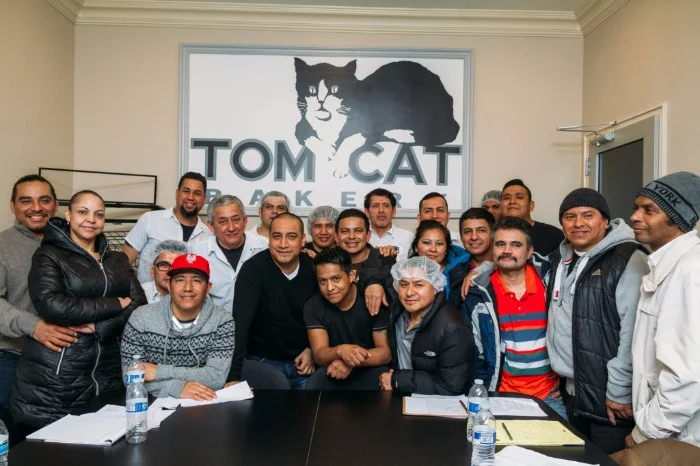 Tom Cat negotiation.jpg