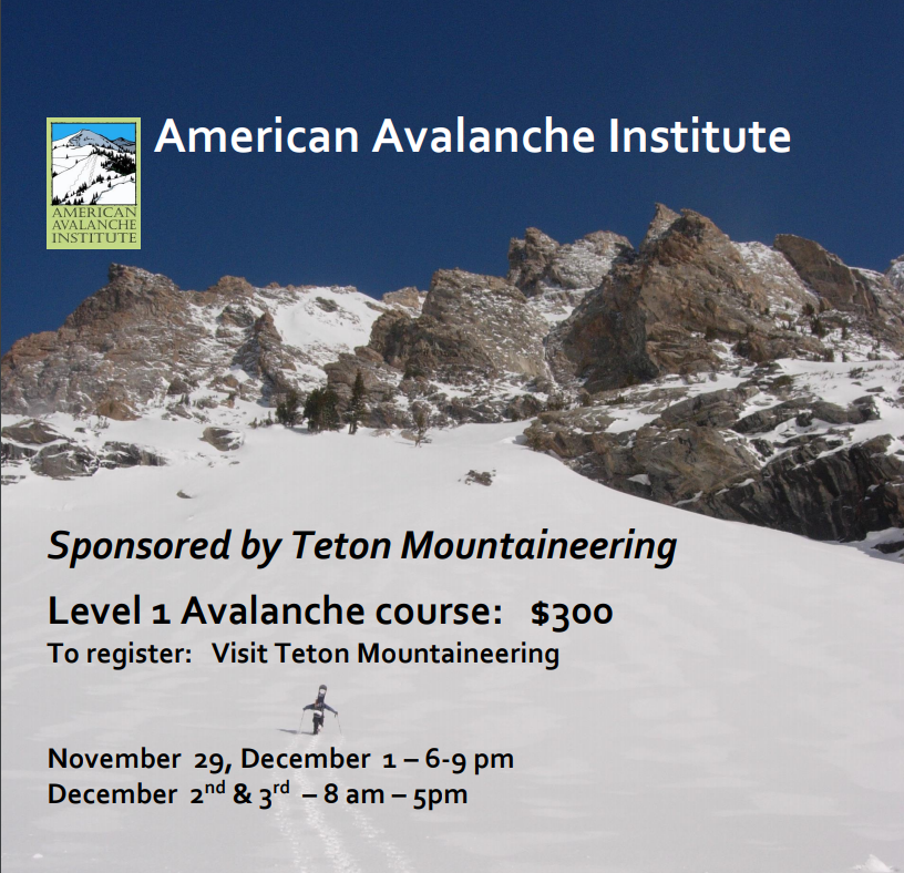 Sign Up for a Discounted Level 1 Avi Course NOW!