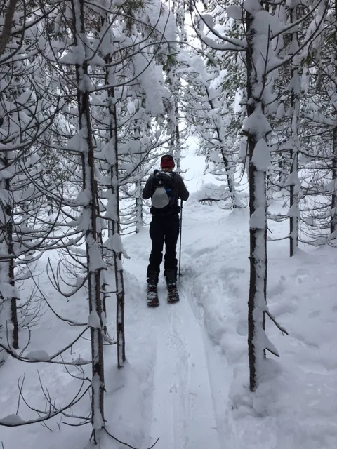 Thanksgiving Weekend Sale