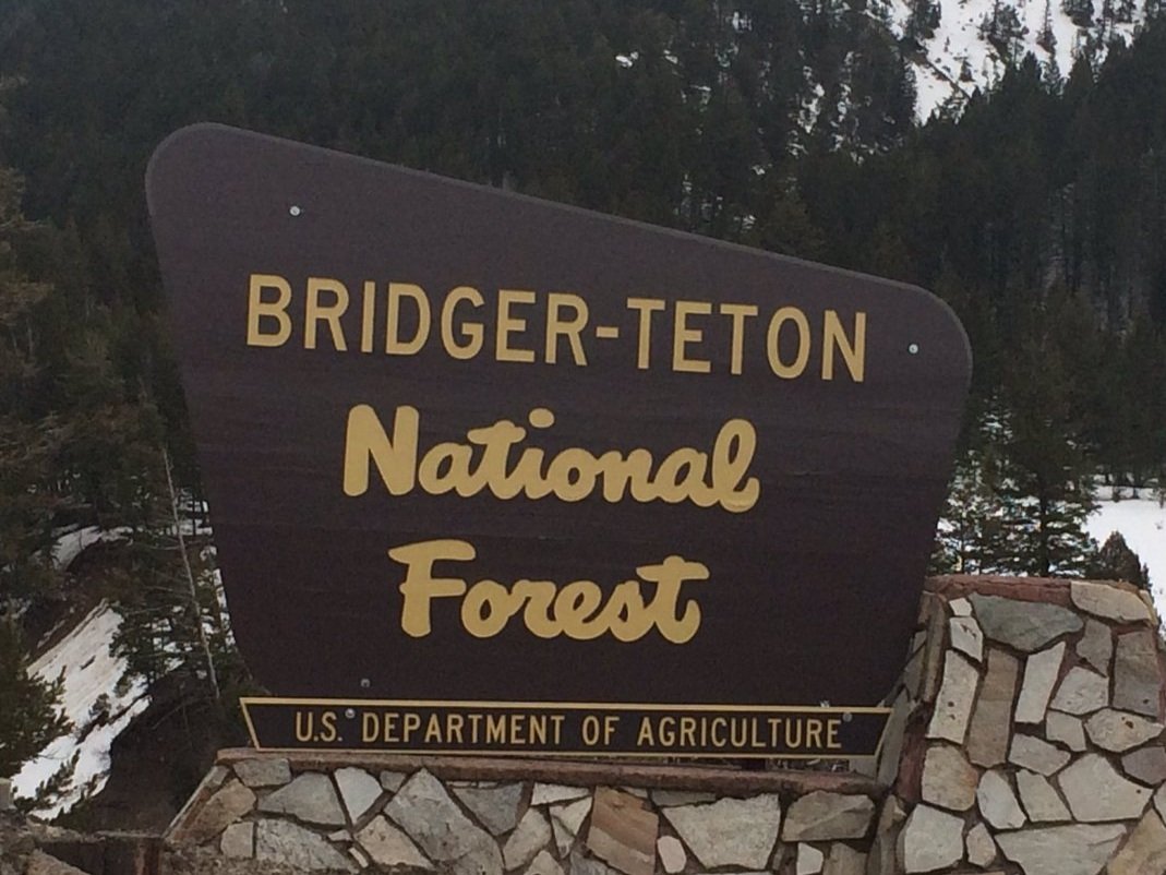 Bridger-Teton_National_Forest_Sign_2017.jpg