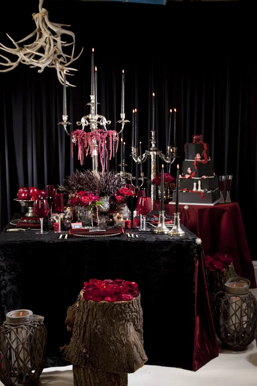 image asset - Twilight Inspired Photo Shoot for Halloween image asset