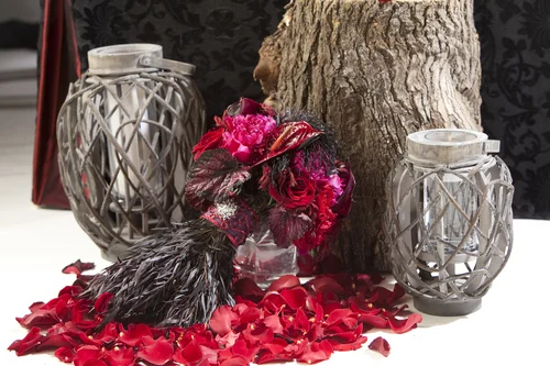 image asset - Twilight Inspired Photo Shoot for Halloween image asset