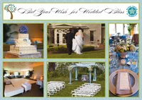 gala wish upon a wedding events engaging events by ali