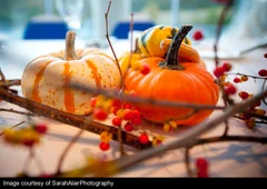 pumpkins fall wedding decorations engaging events by ali - Fall Themed Chicago Wedding pumpkins fall wedding decorations engaging events by ali