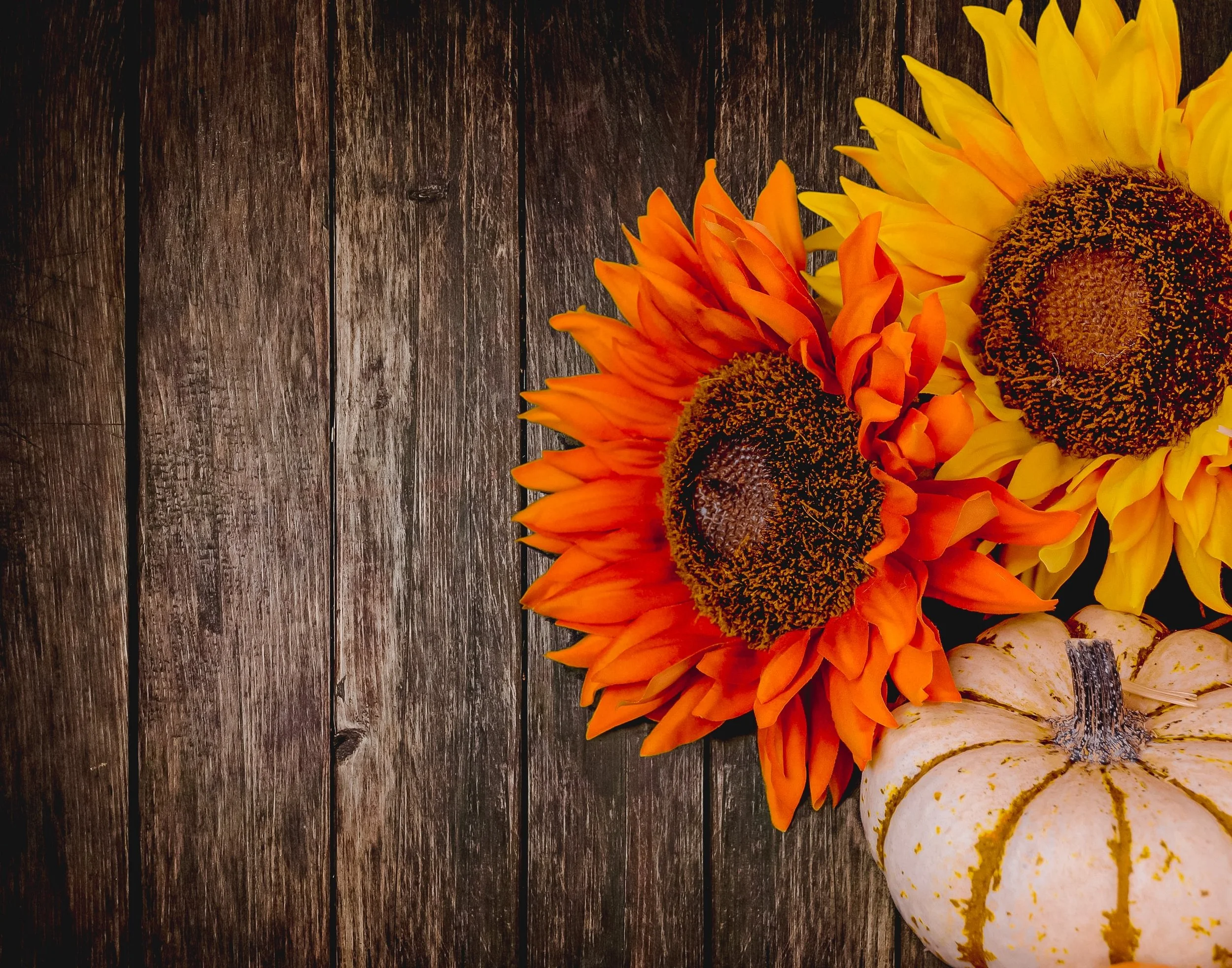 Ali's Four Favorite Things : November Edition
