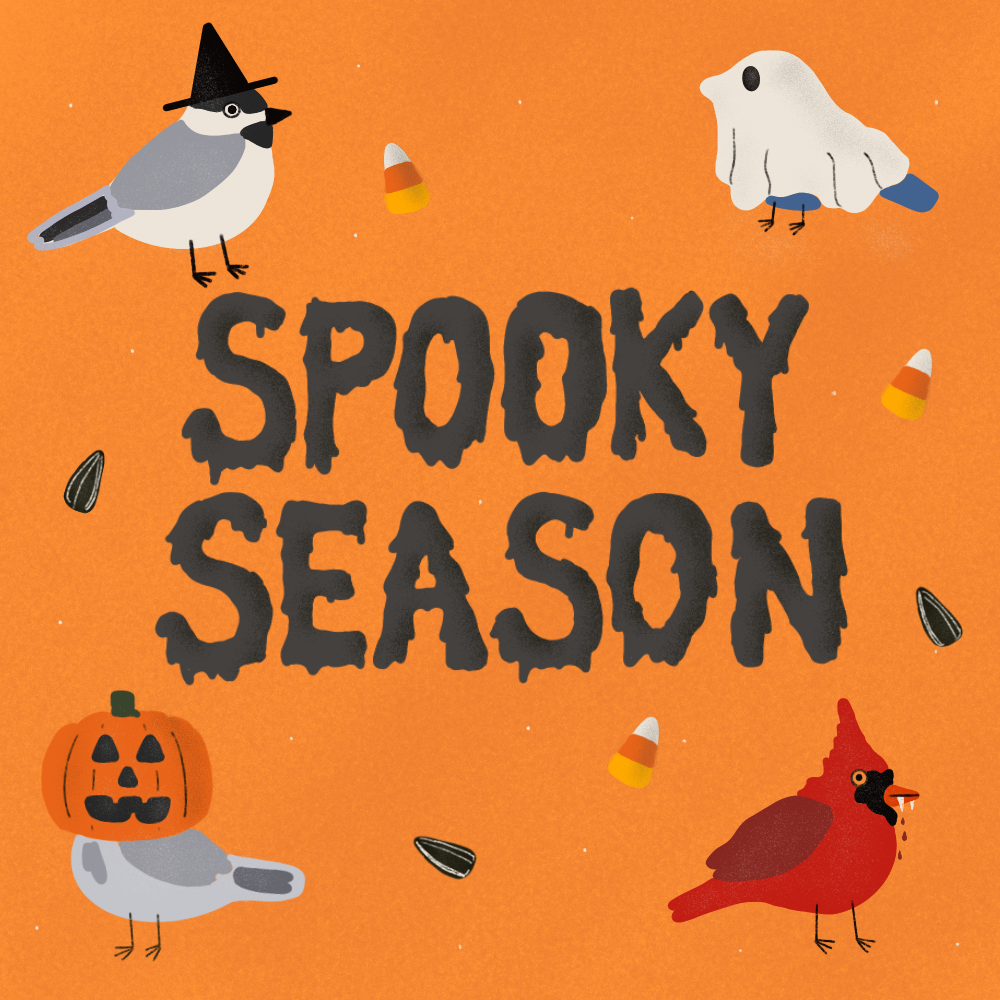 spookyseason.png