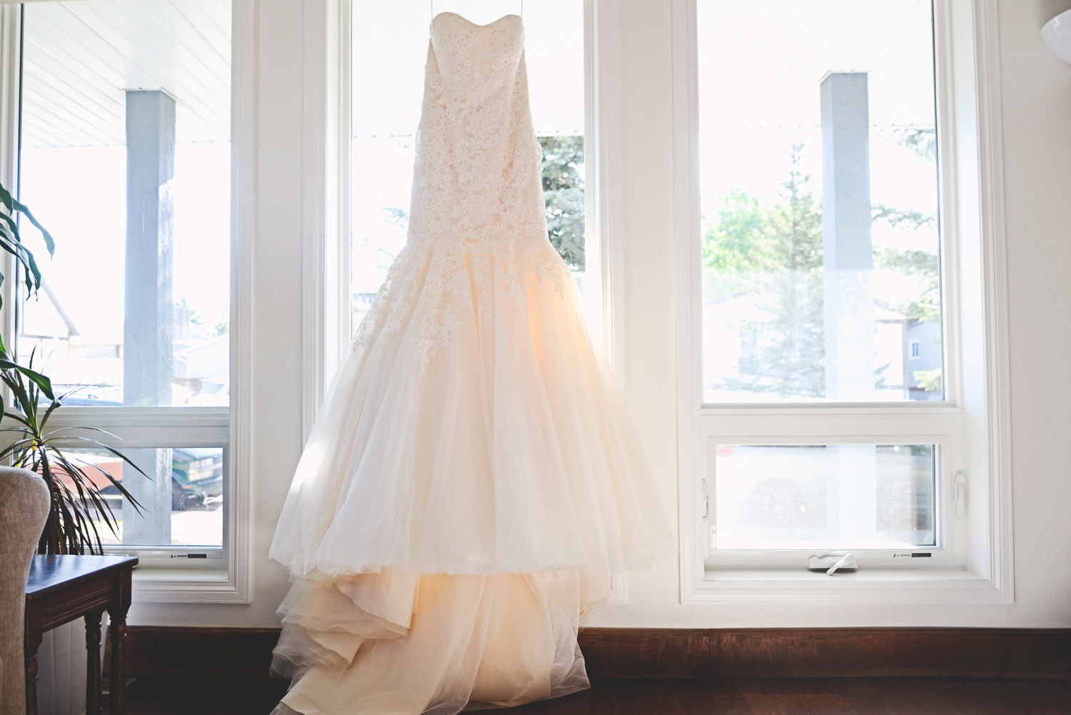 DRWedding6.jpg
