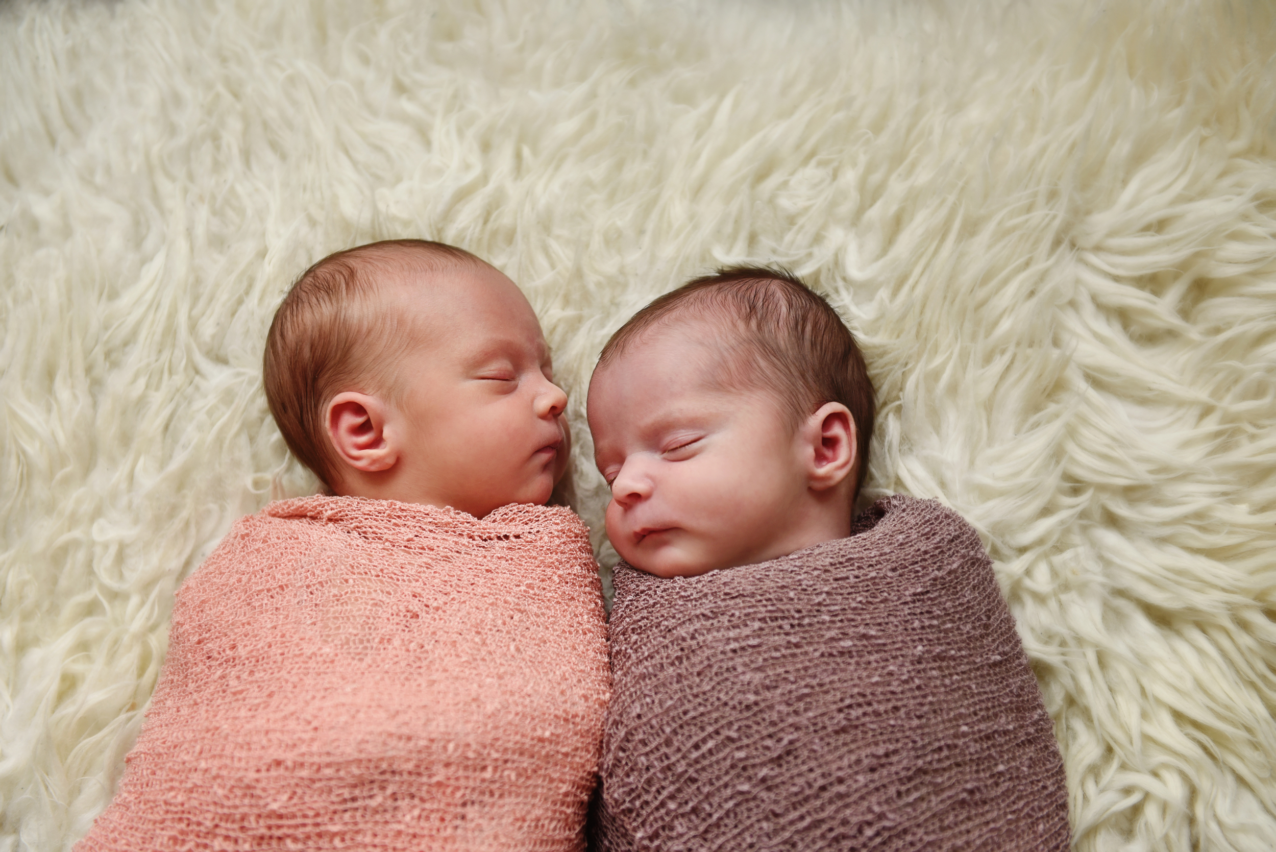 Abigail & Amelia Newborn 14.jpg