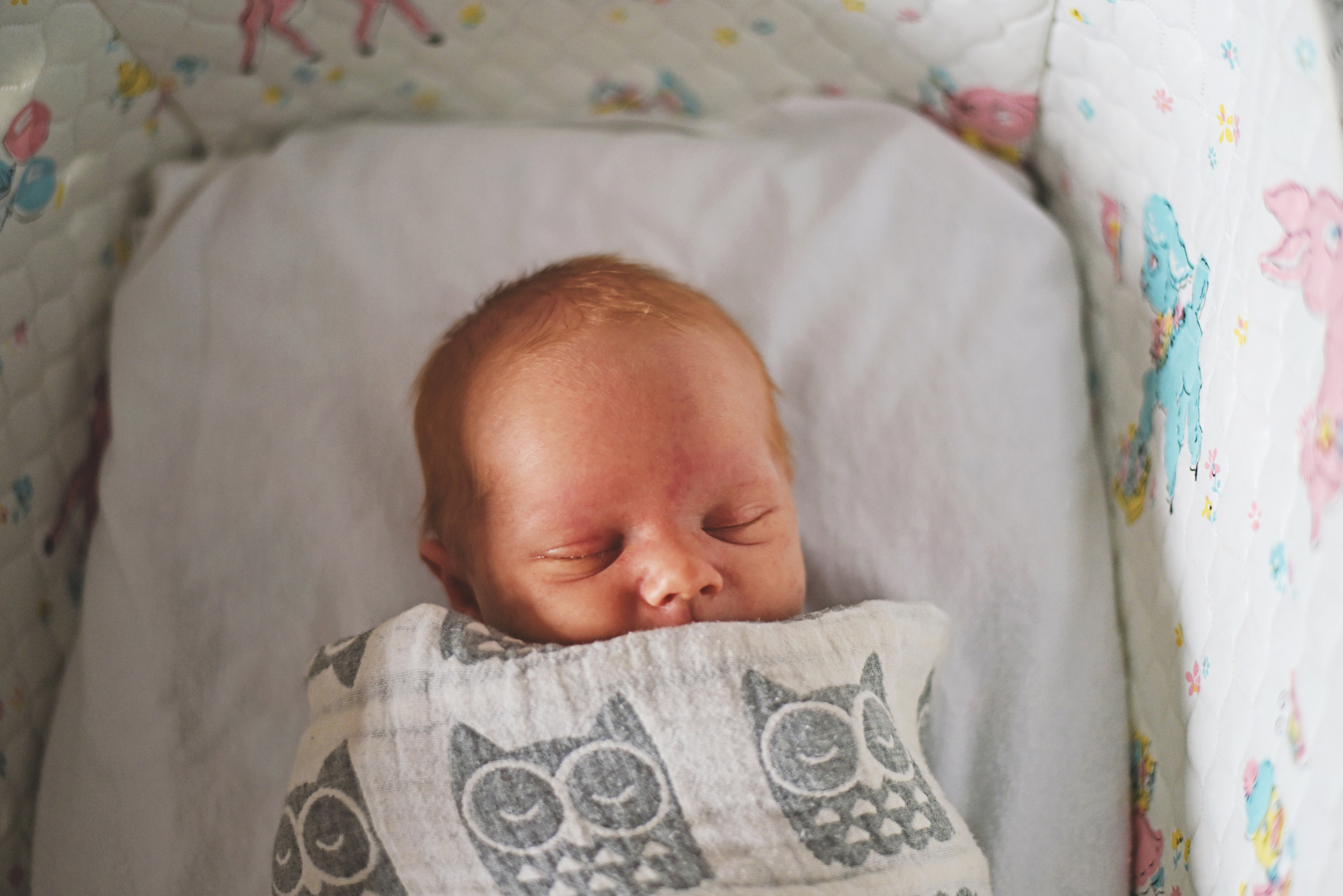 Bennett Newborn 101-matte.jpg