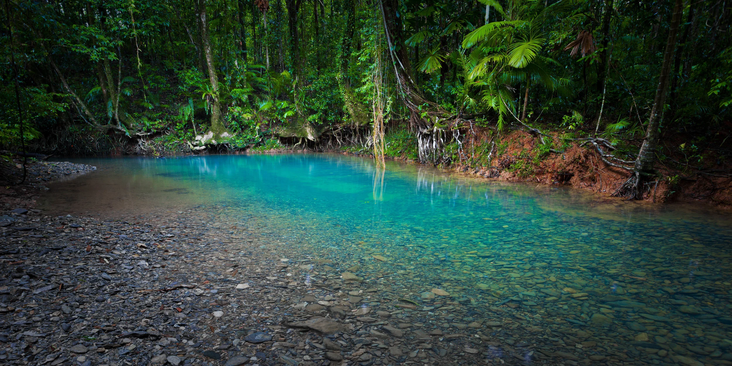 _MG_6764.jpg