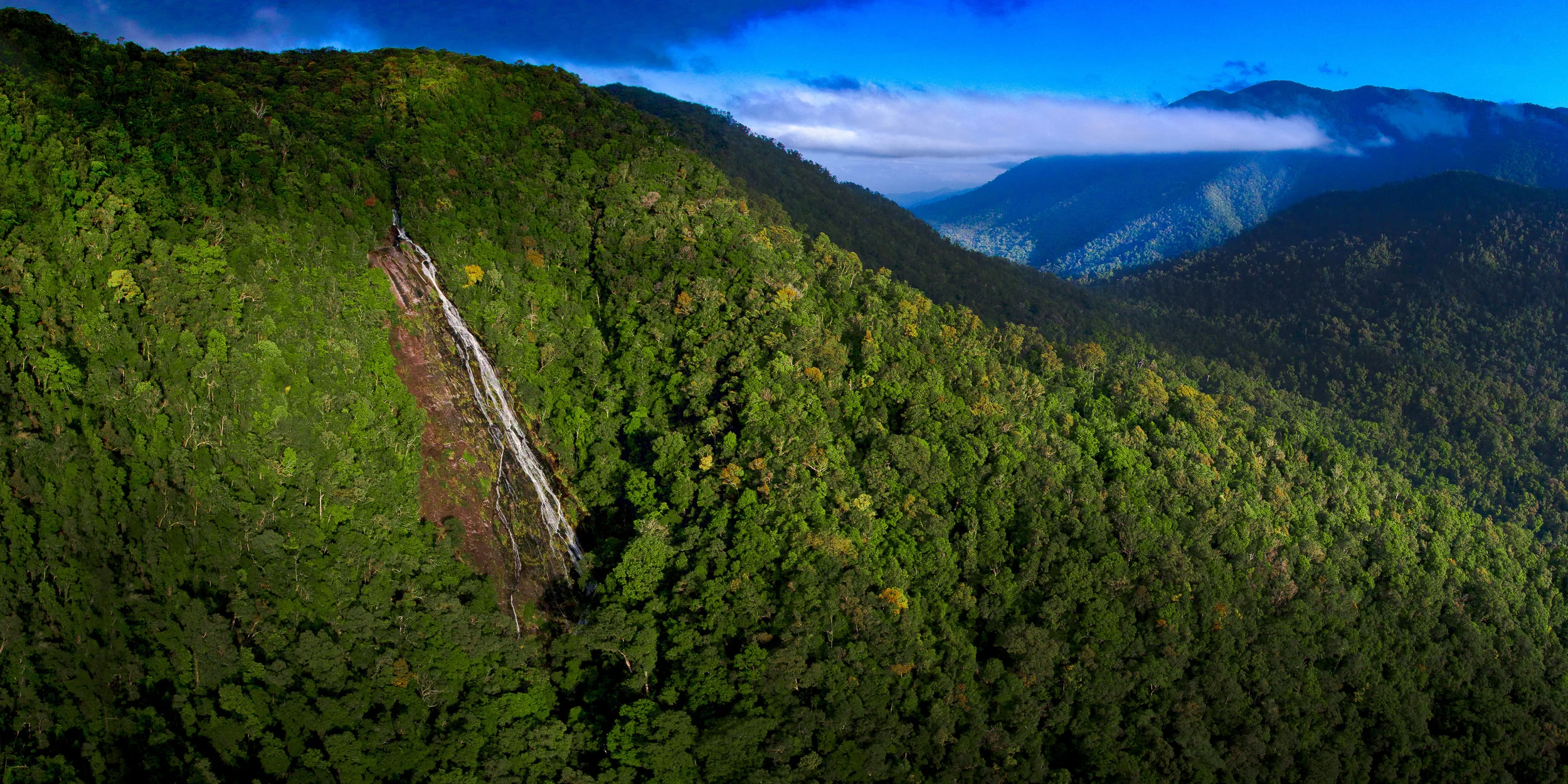 BF_Panorama2.jpg
