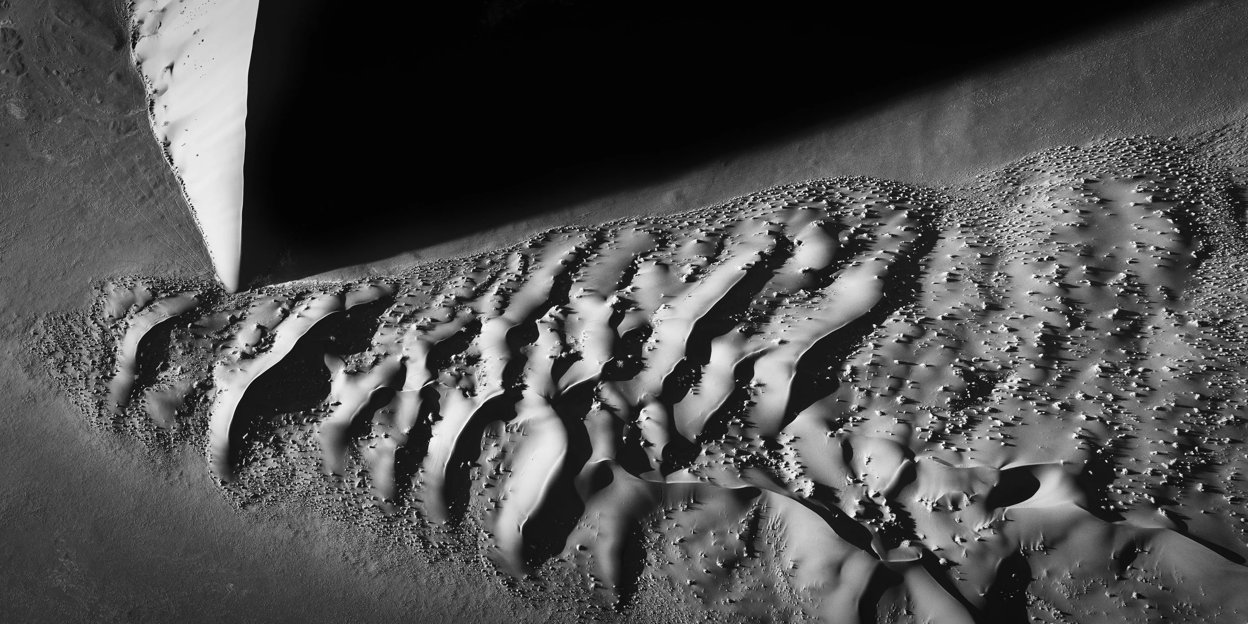 CS6-8955-2.jpg