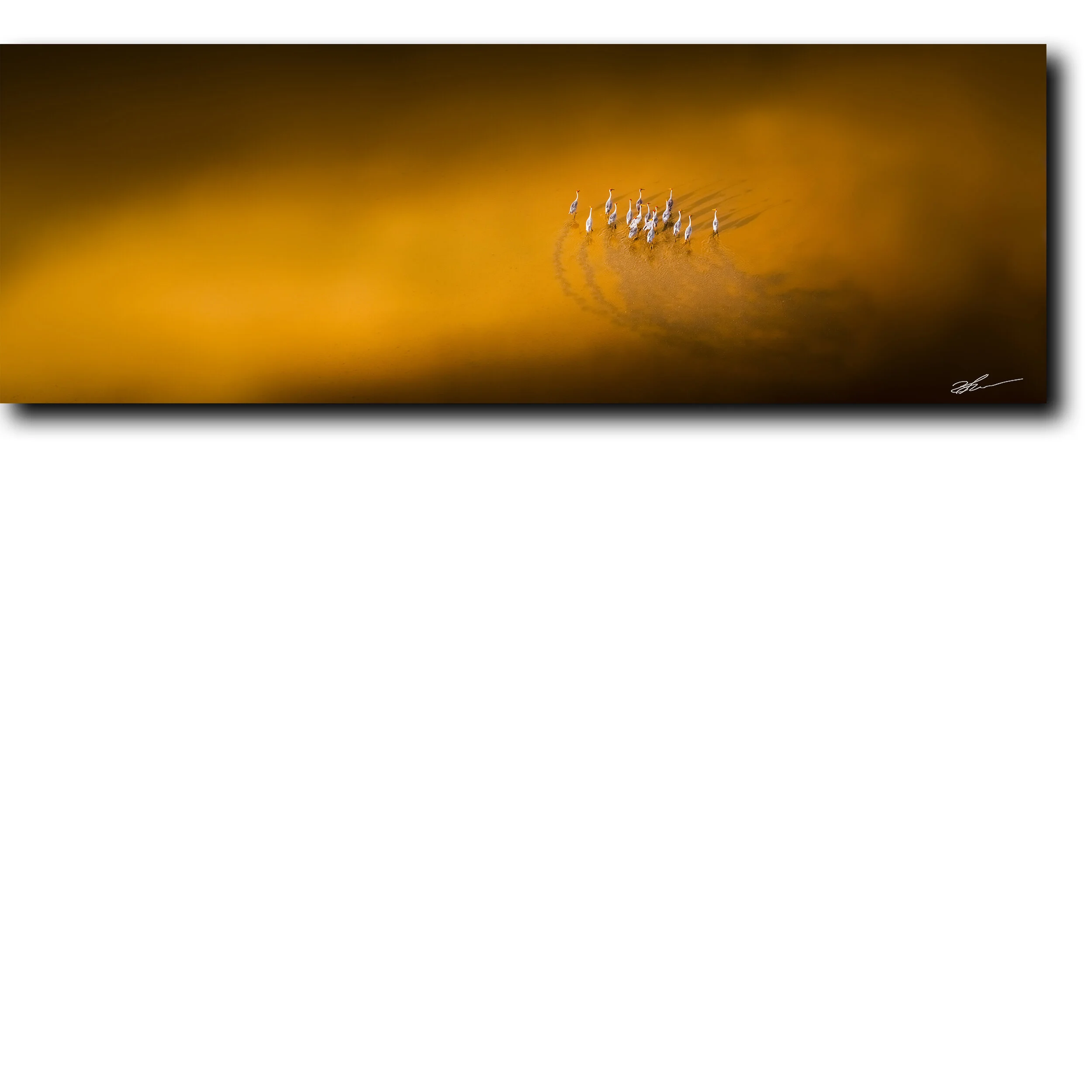 Kakadu light.jpg