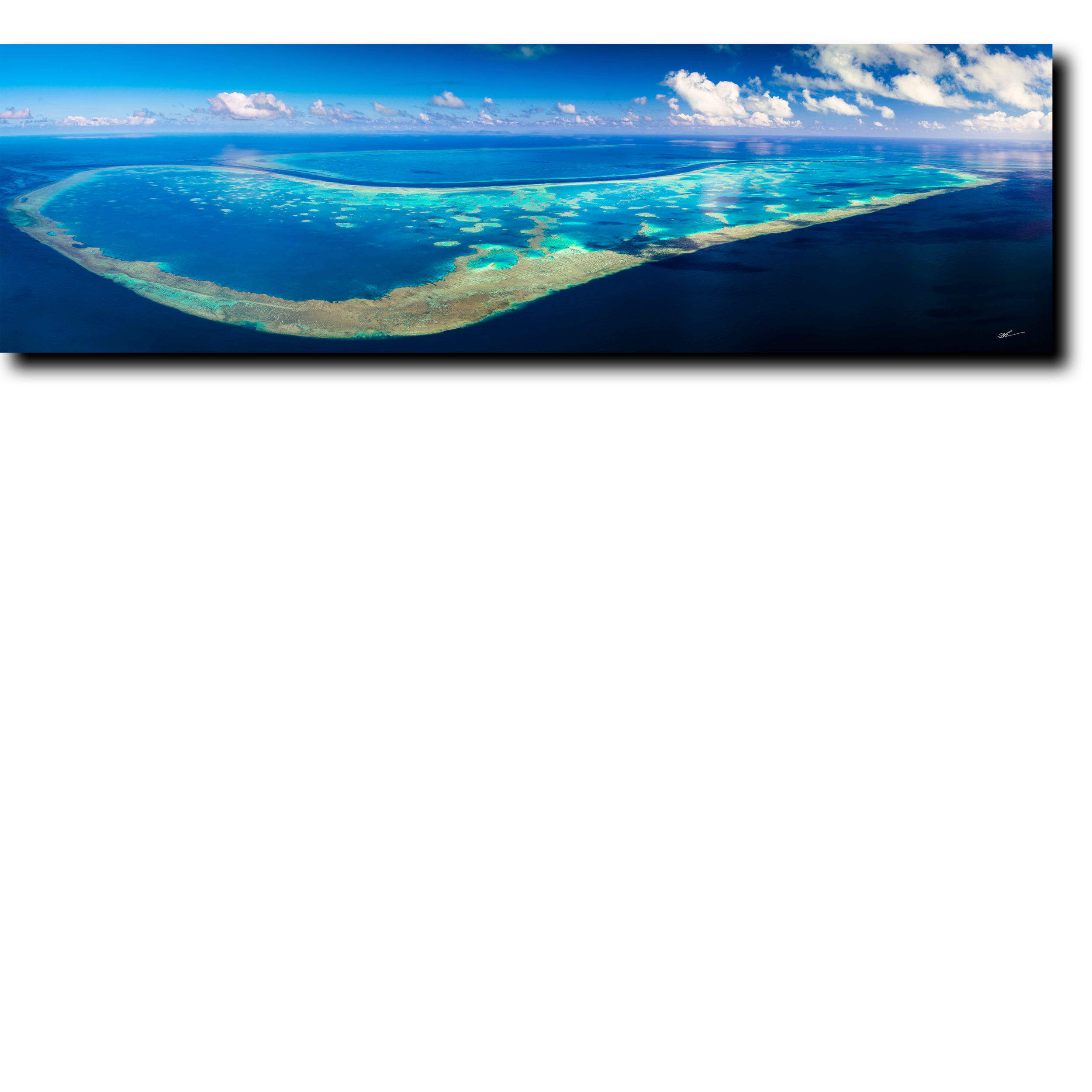 Untitled-1.png