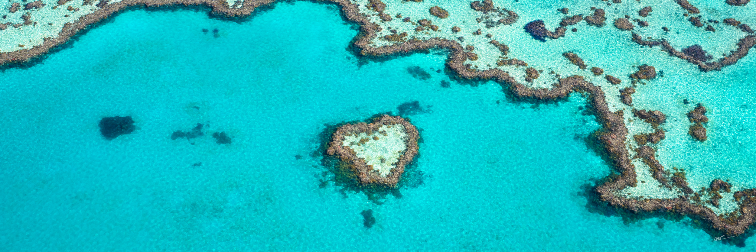 Heart Of The Reef