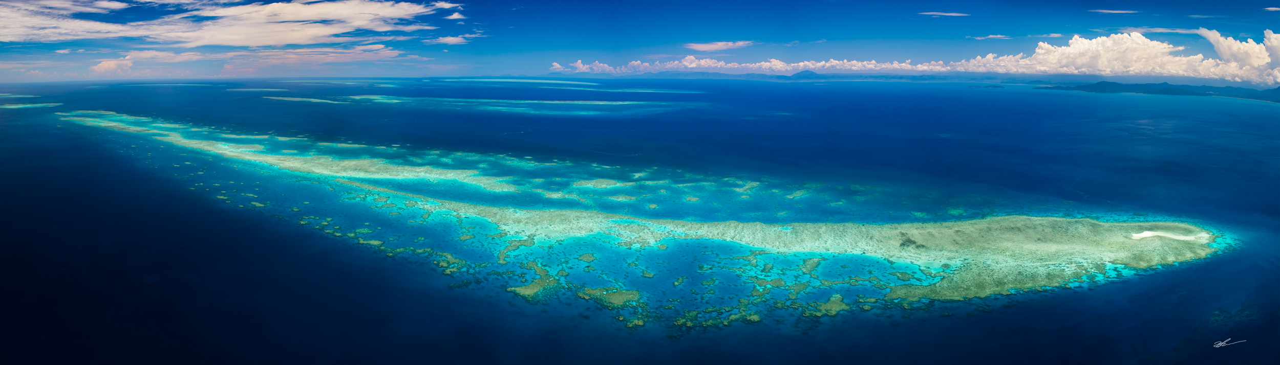 Reef Horizon 