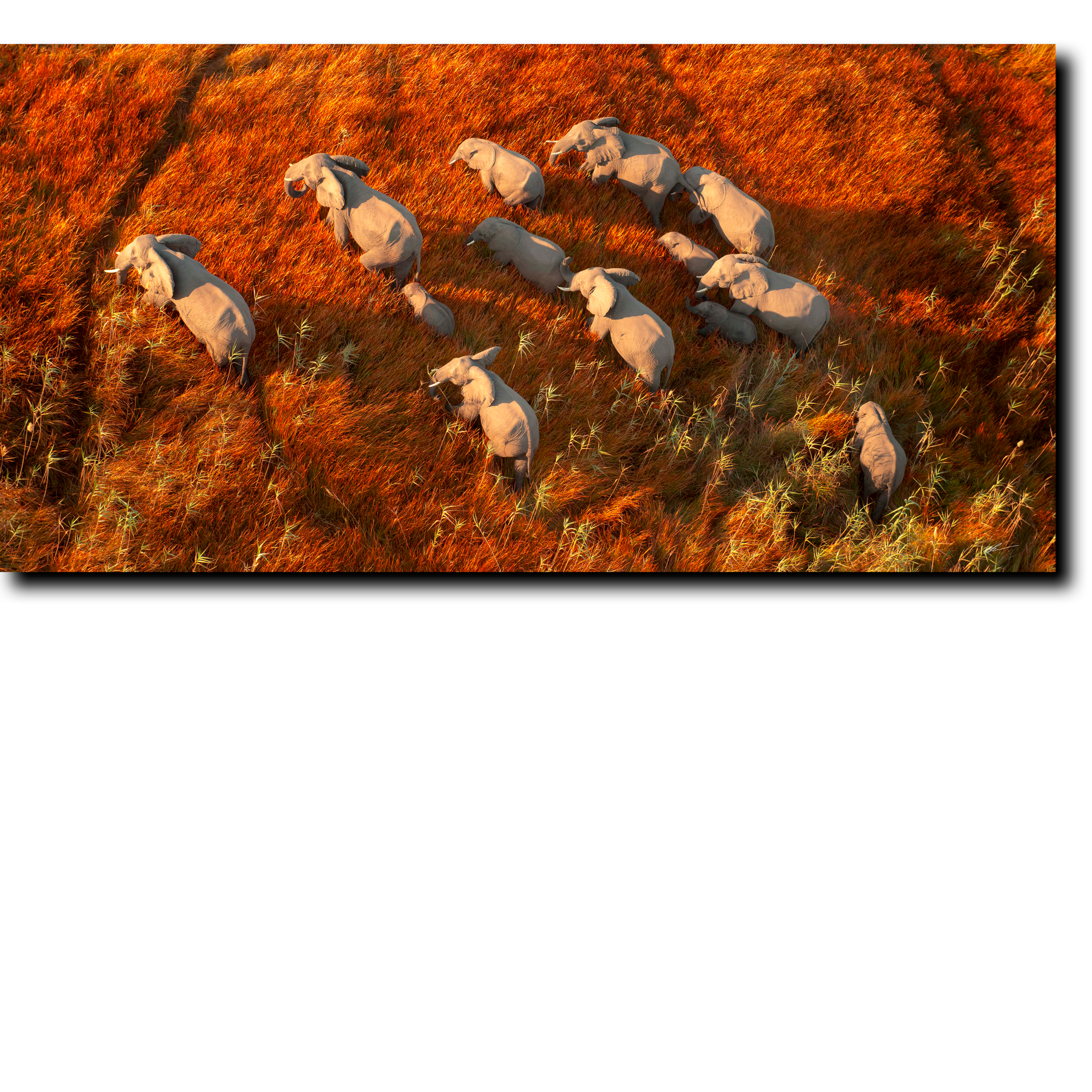 Untitled-1.png