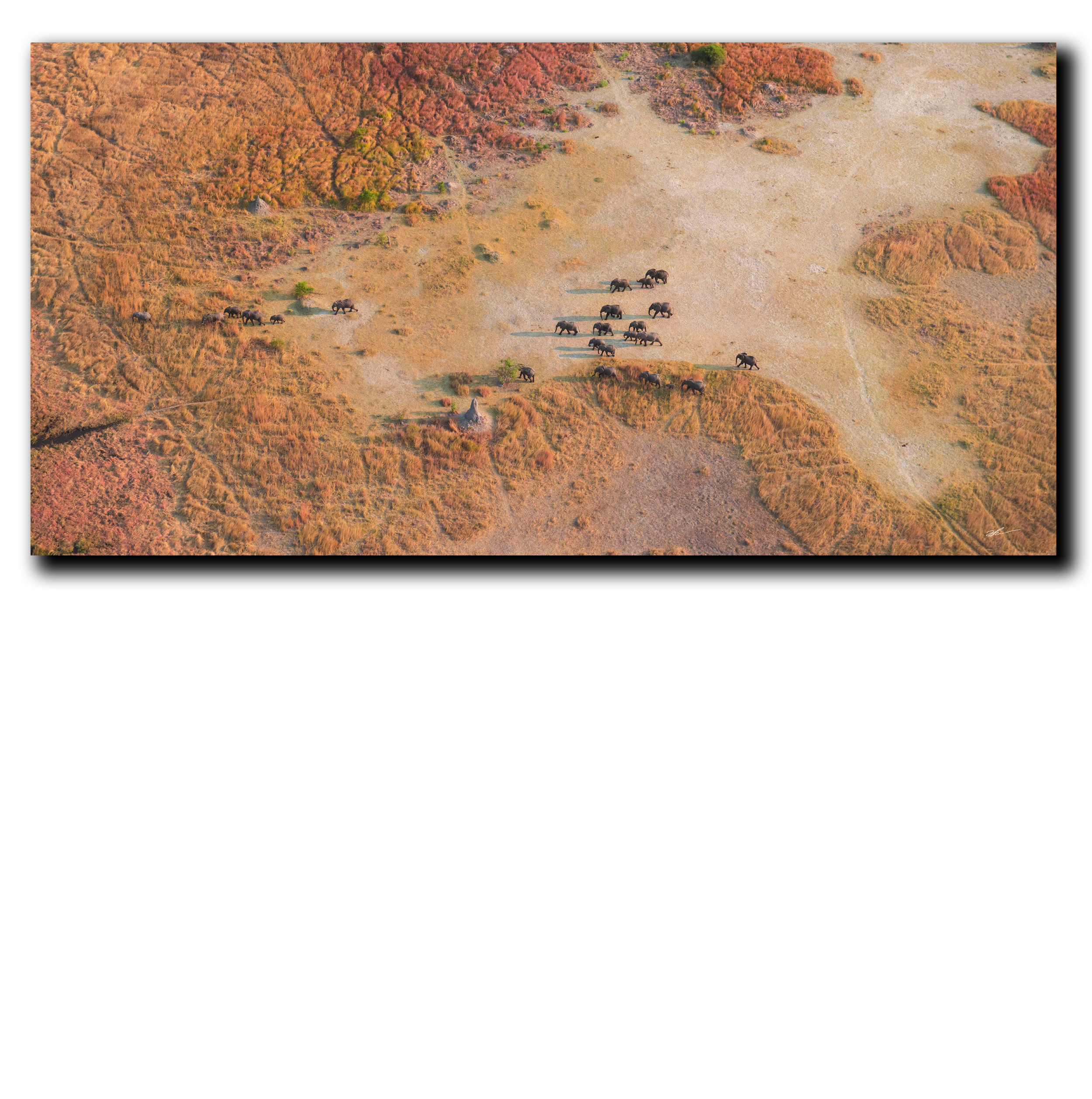 Dropshadow-Recovered.png